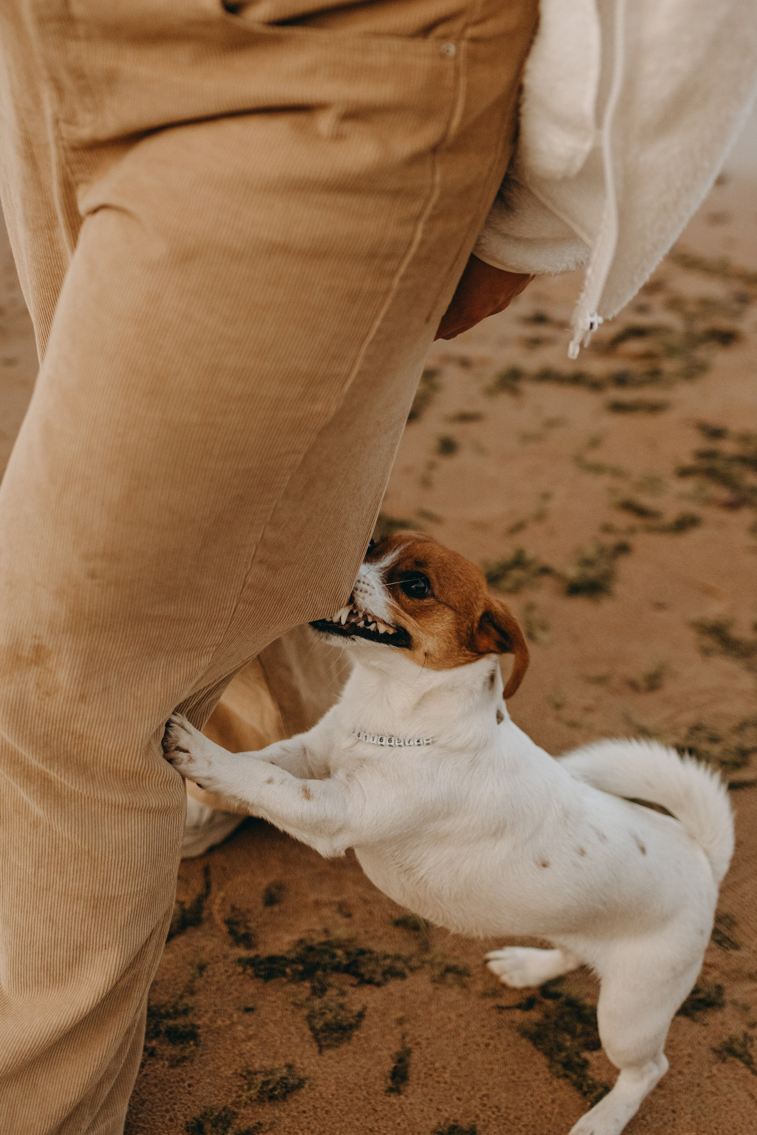 Лея и ее семья. Фотограф — Анималист | Санкт-Петербург