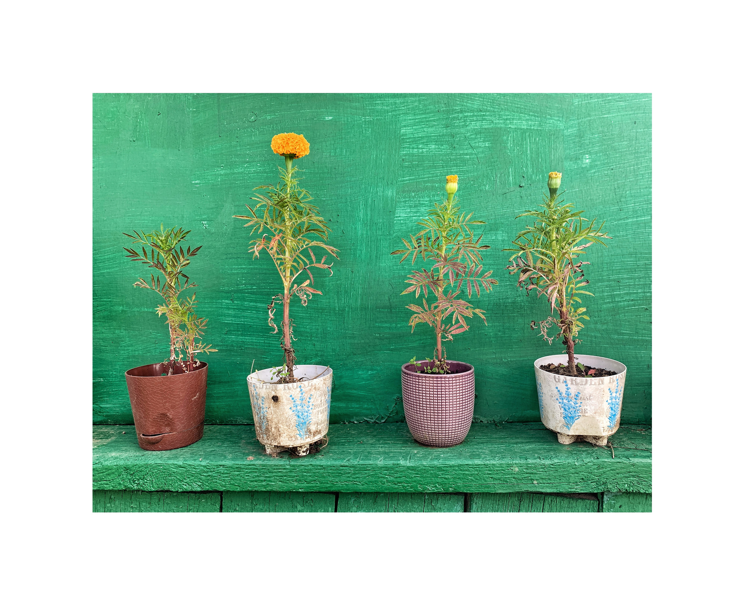 2022. Тащилин Сергей. Фотографии. Жизнь. Хобби