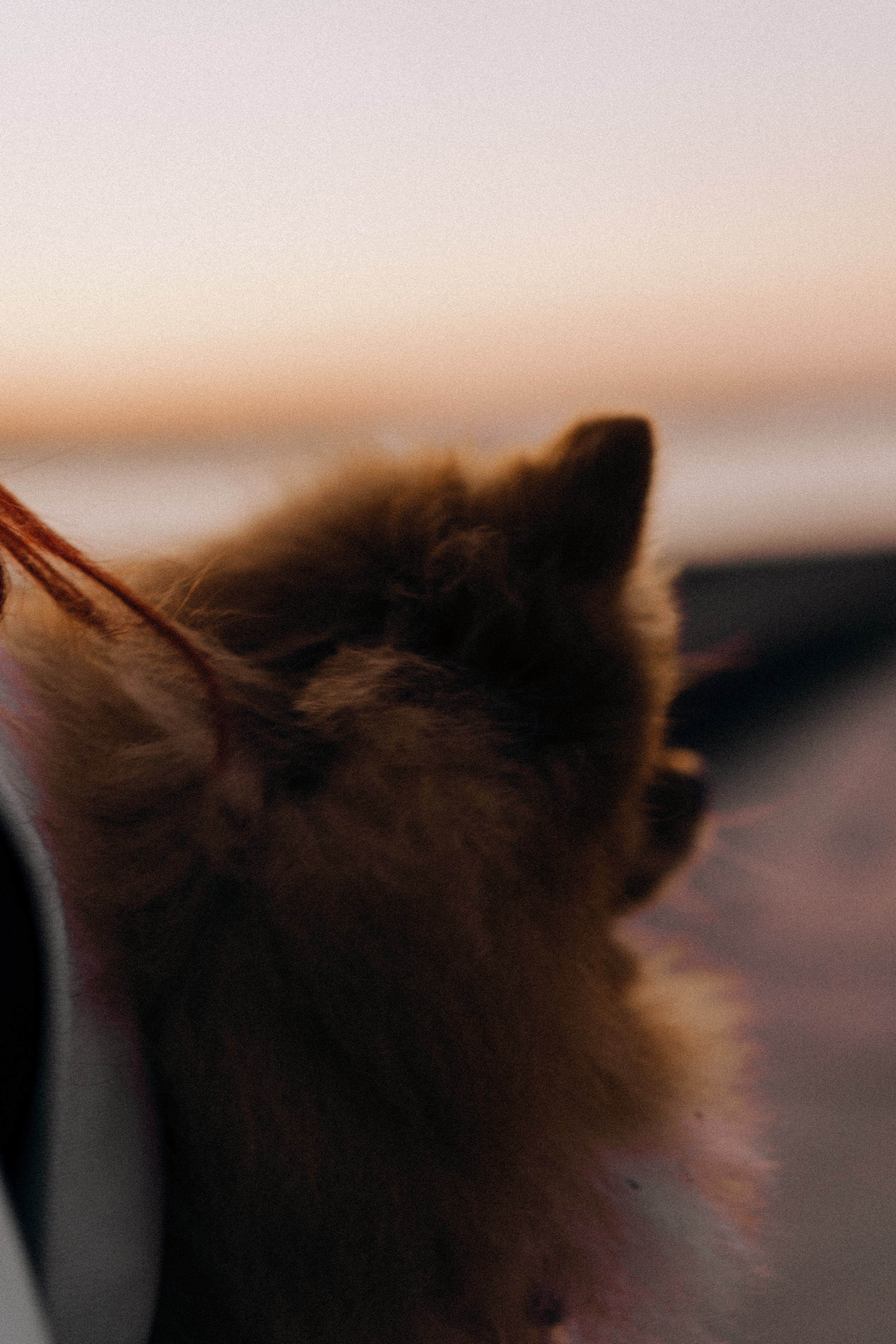 РАССВЕТНАЯ ИСТОРИЯ. Профессиональный фотограф, Санкт-Петербург — Виктория Богомолова