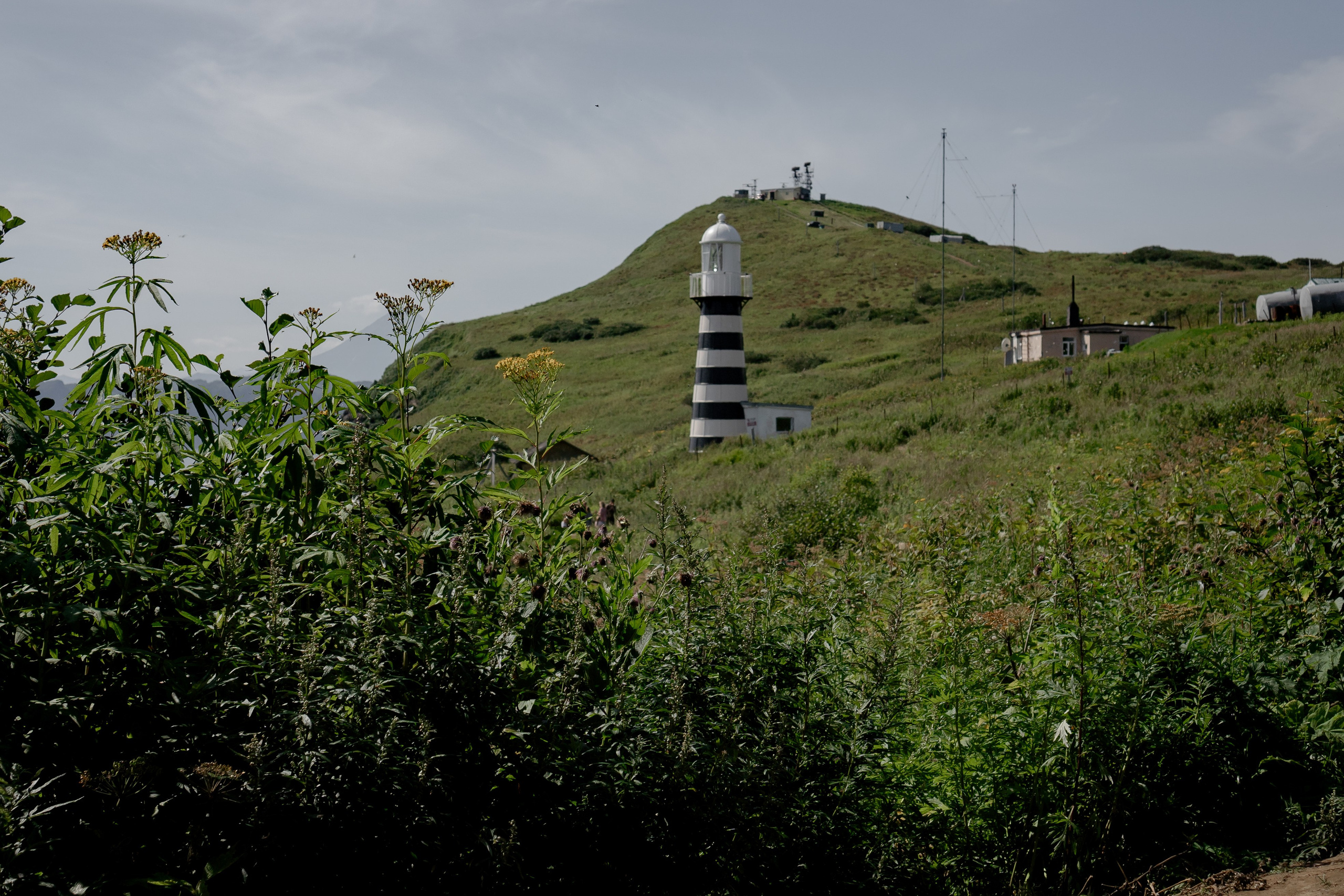 Мыс Маячный на Камчатке. Профессиональный фотограф, Санкт-Петербург — Виктория Богомолова