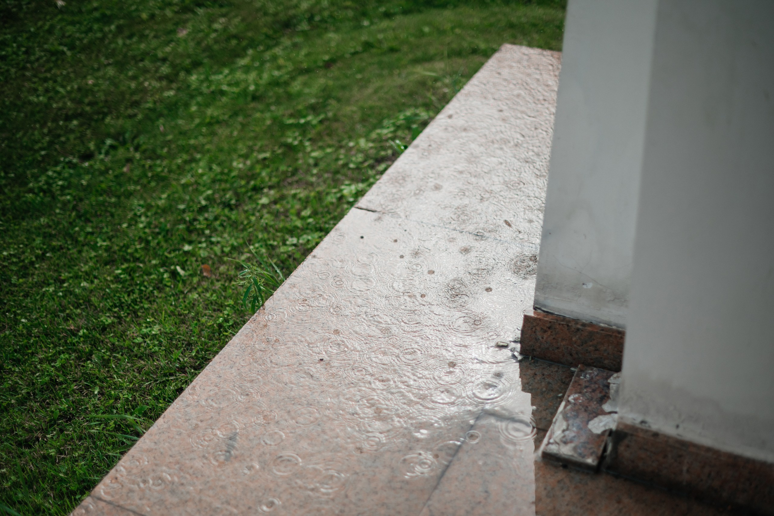 Дмитрий и Татьяна. Свадебный фотограф