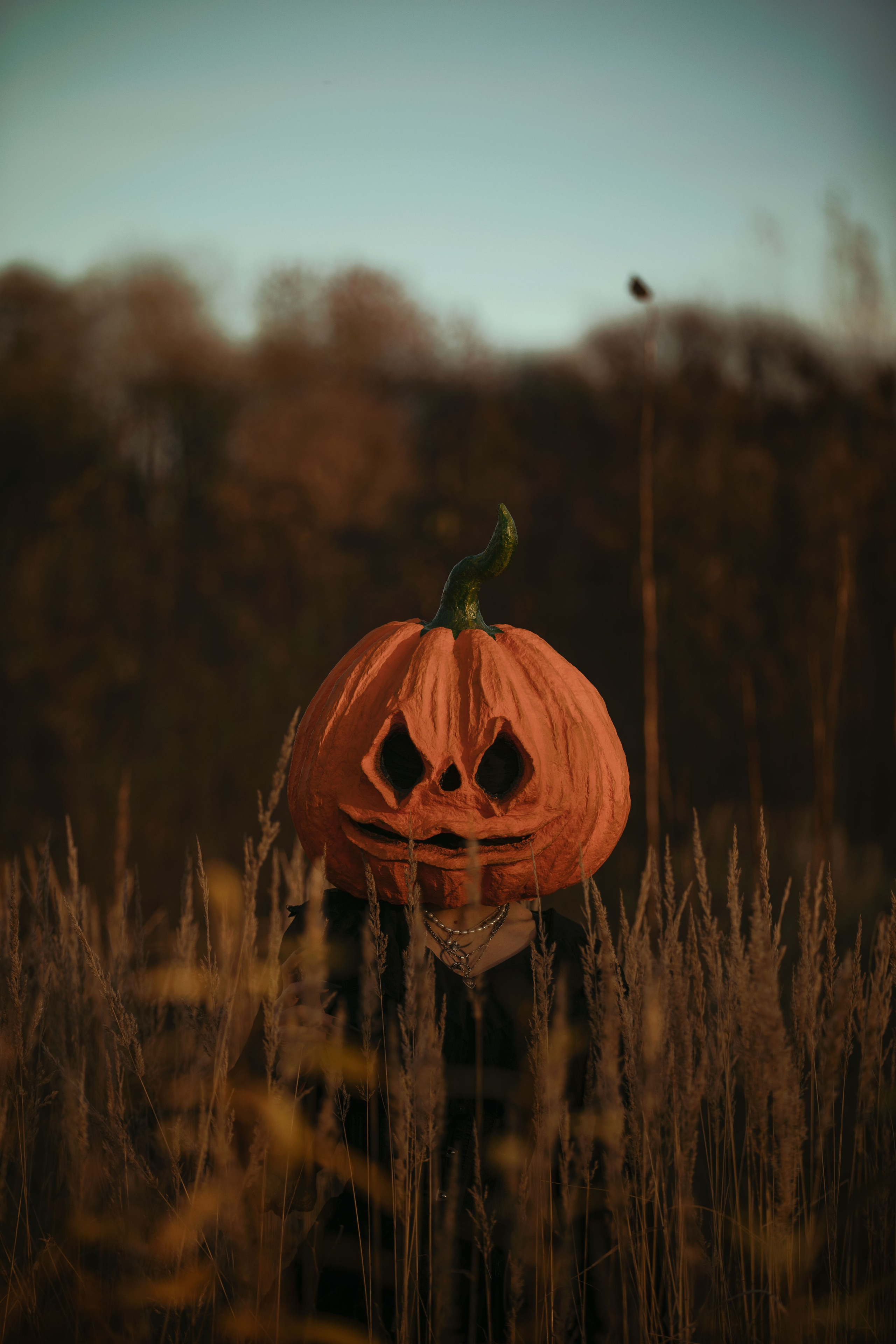 Тыквенный спас. Фотохудожник из города Пскова