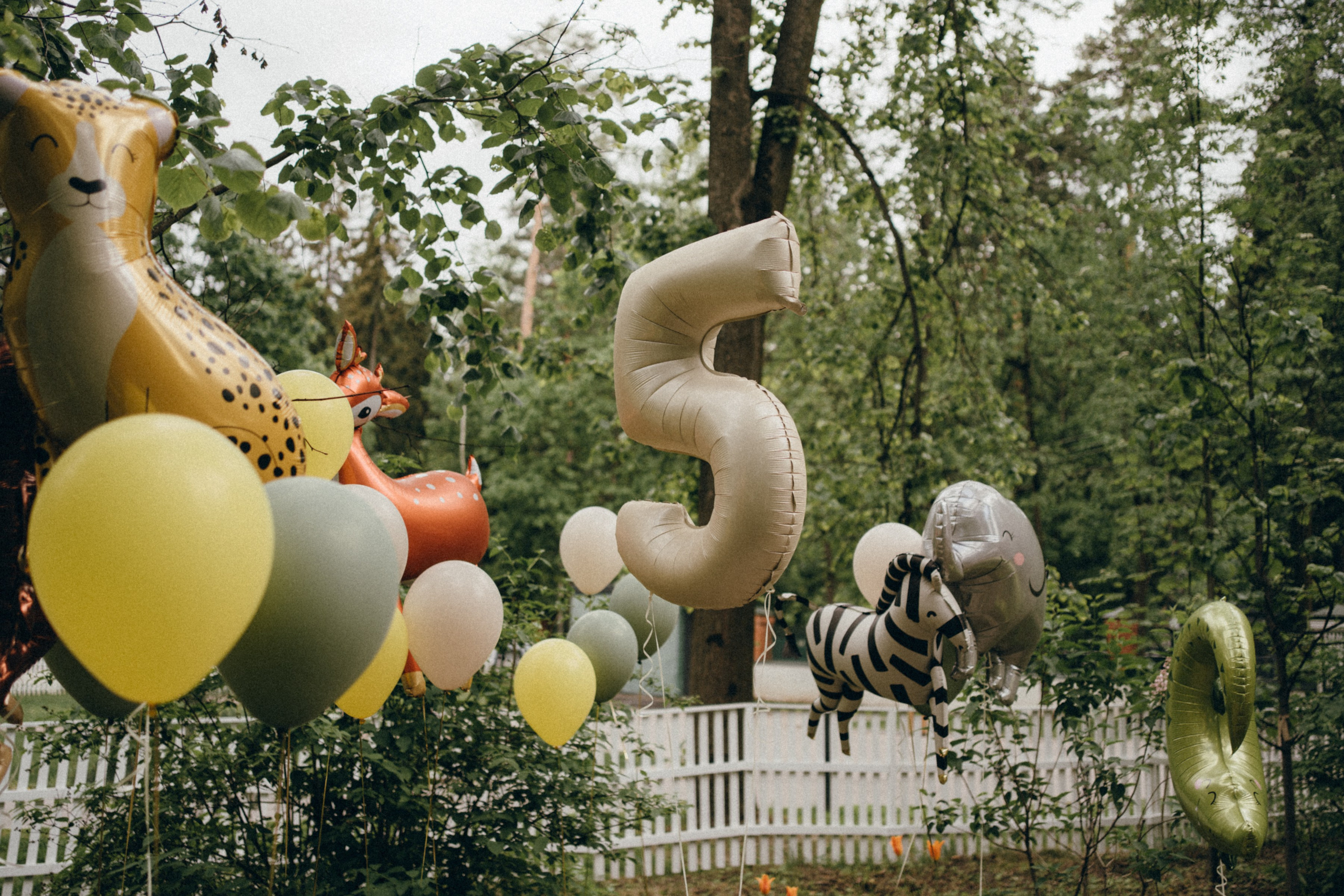 Марику 5!. Семейный и детский фотограф и видеограф в Москве, Серпухове и Тарусе Валерия Сорокина