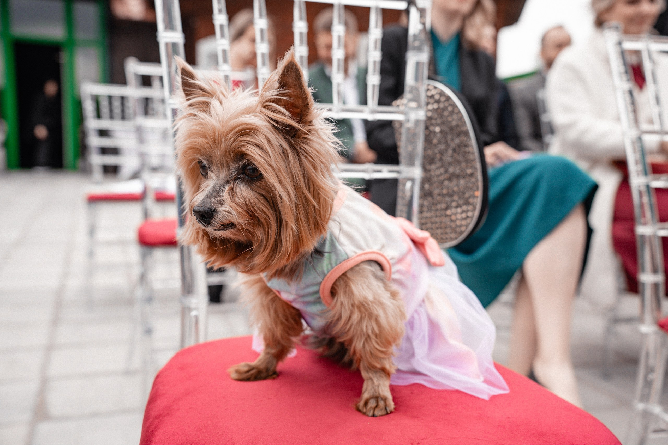 Свадебная фотосессия в Loft «Manhattan» в Пучково. Свадебный фотограф в Пучково