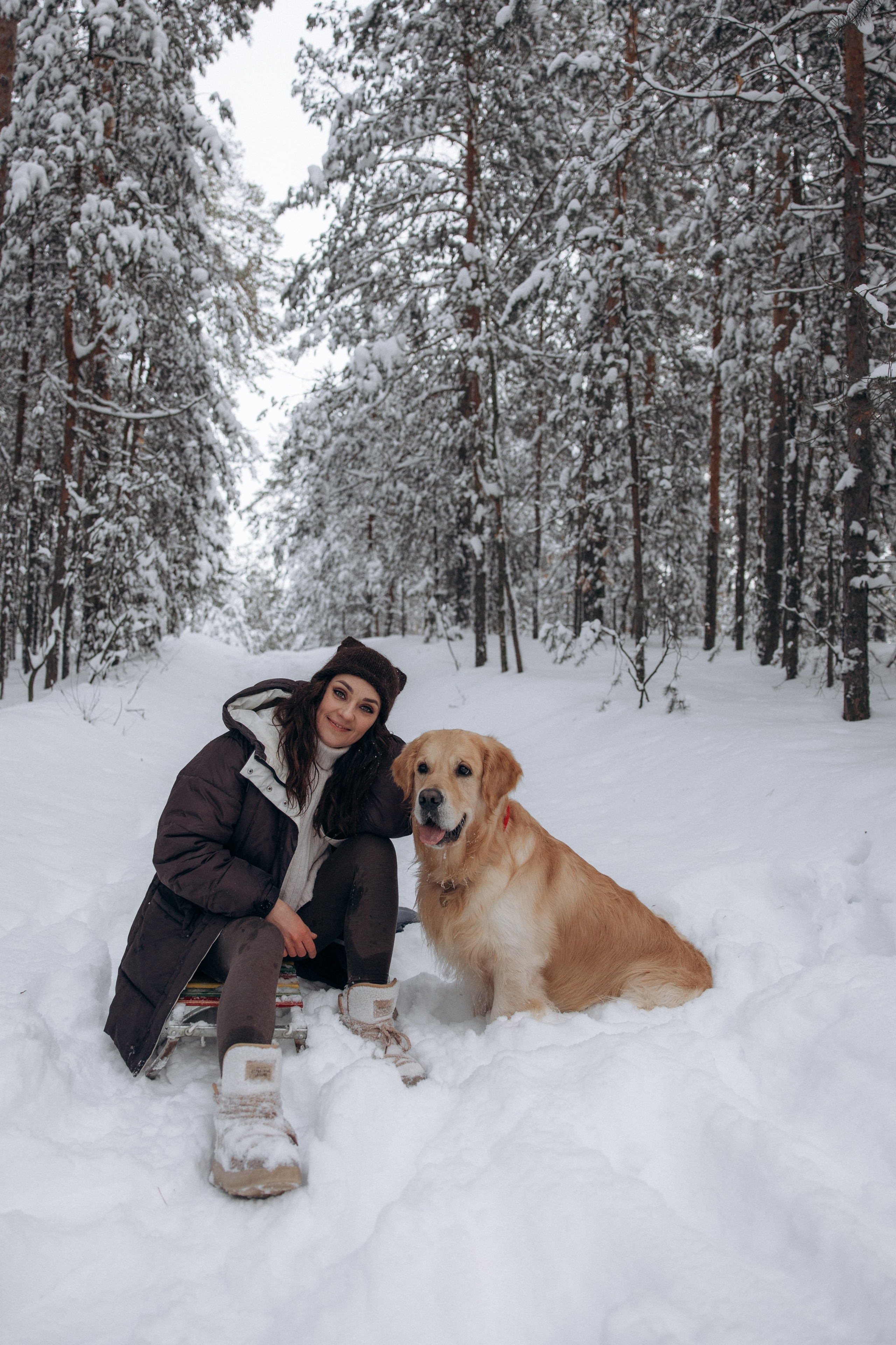 Зимняя история, Света и Чарли. Фотограф анималист в Казани Алина Сулейманова. Фотограф животных