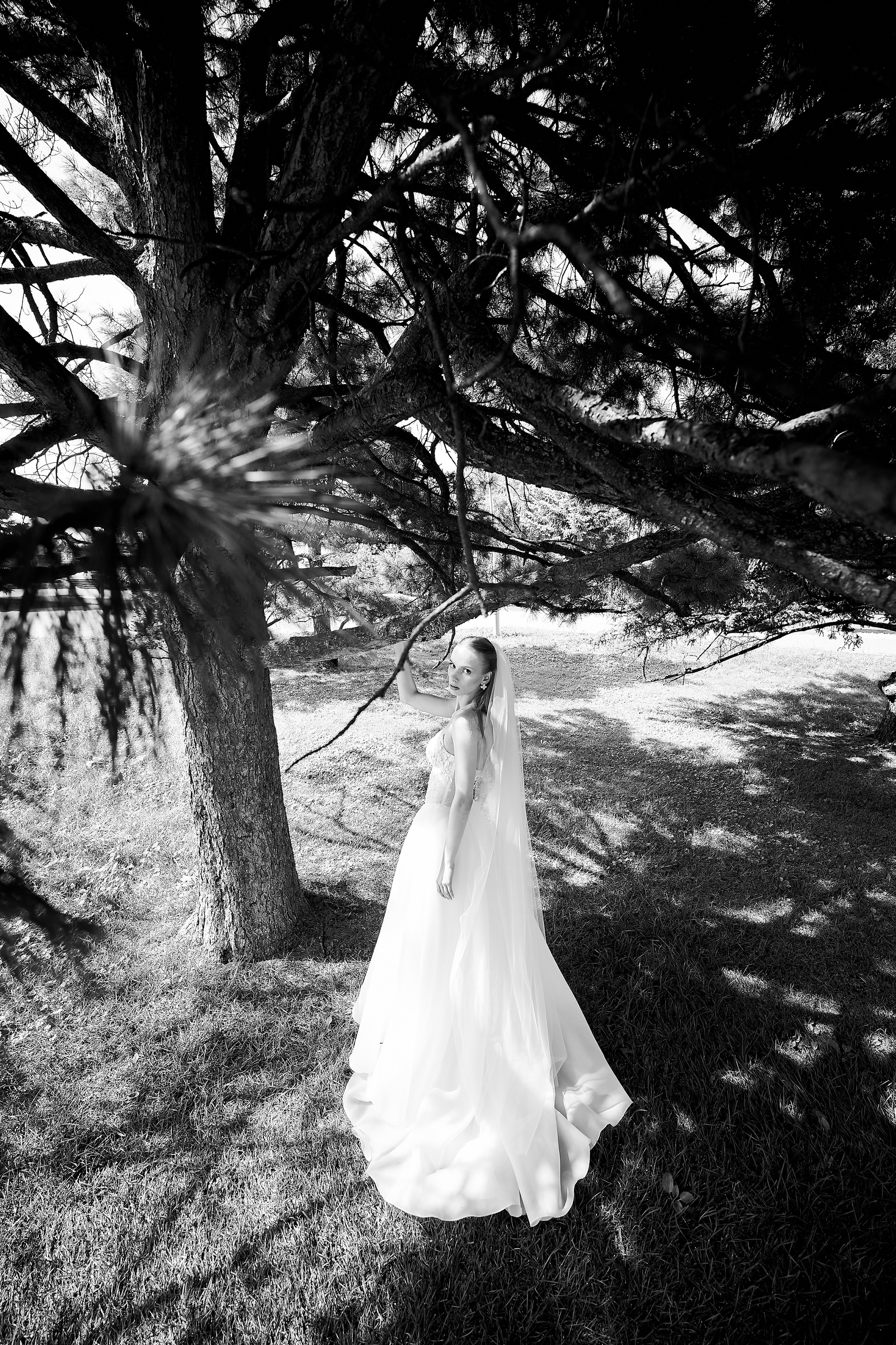 Elizaveta & Vladimir 08/08/26. Профессиональный репортажный фотограф в Самаре Никита Королев