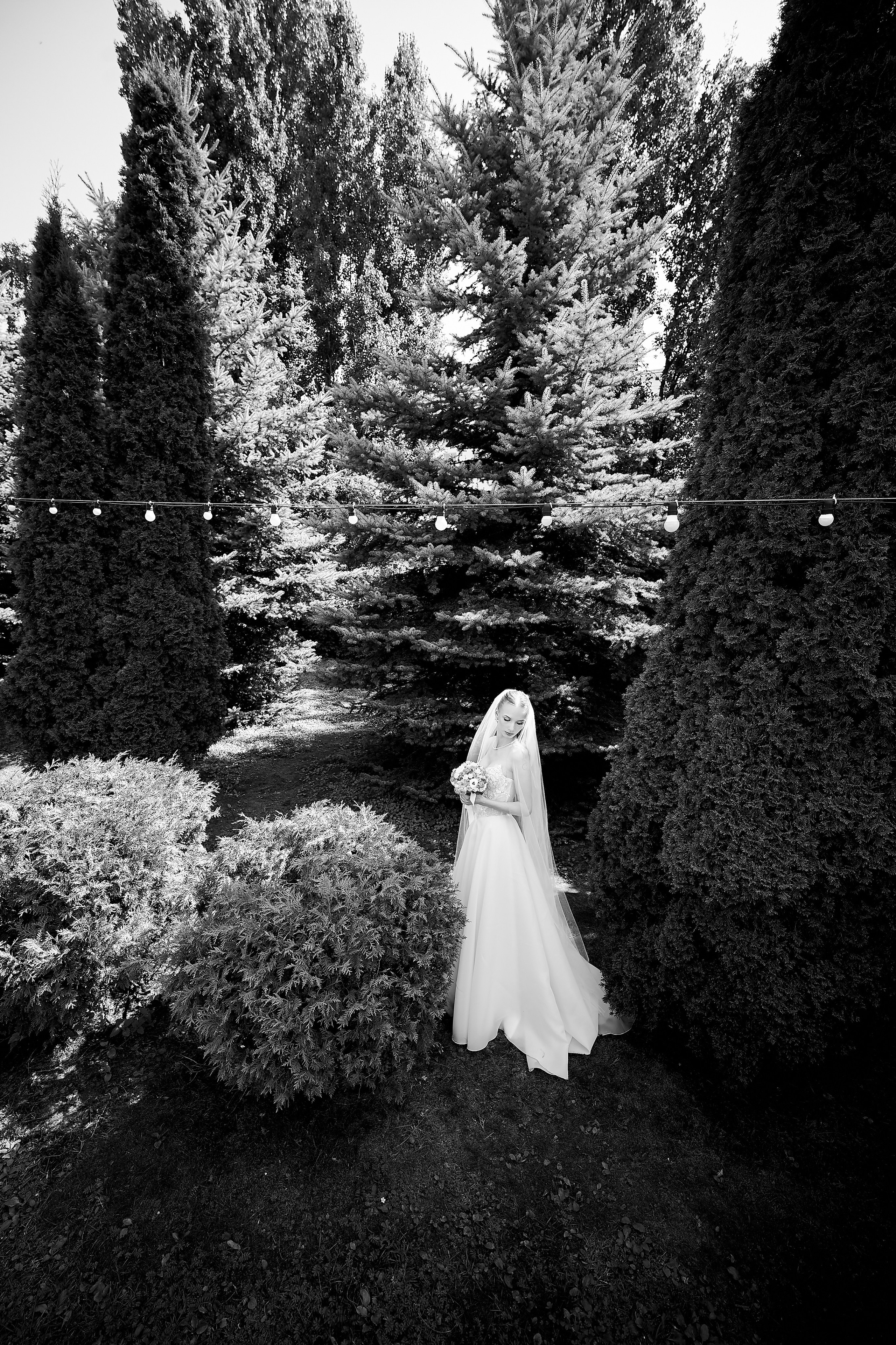 Elizaveta & Vladimir 08/08/26. Профессиональный репортажный фотограф в Самаре Никита Королев