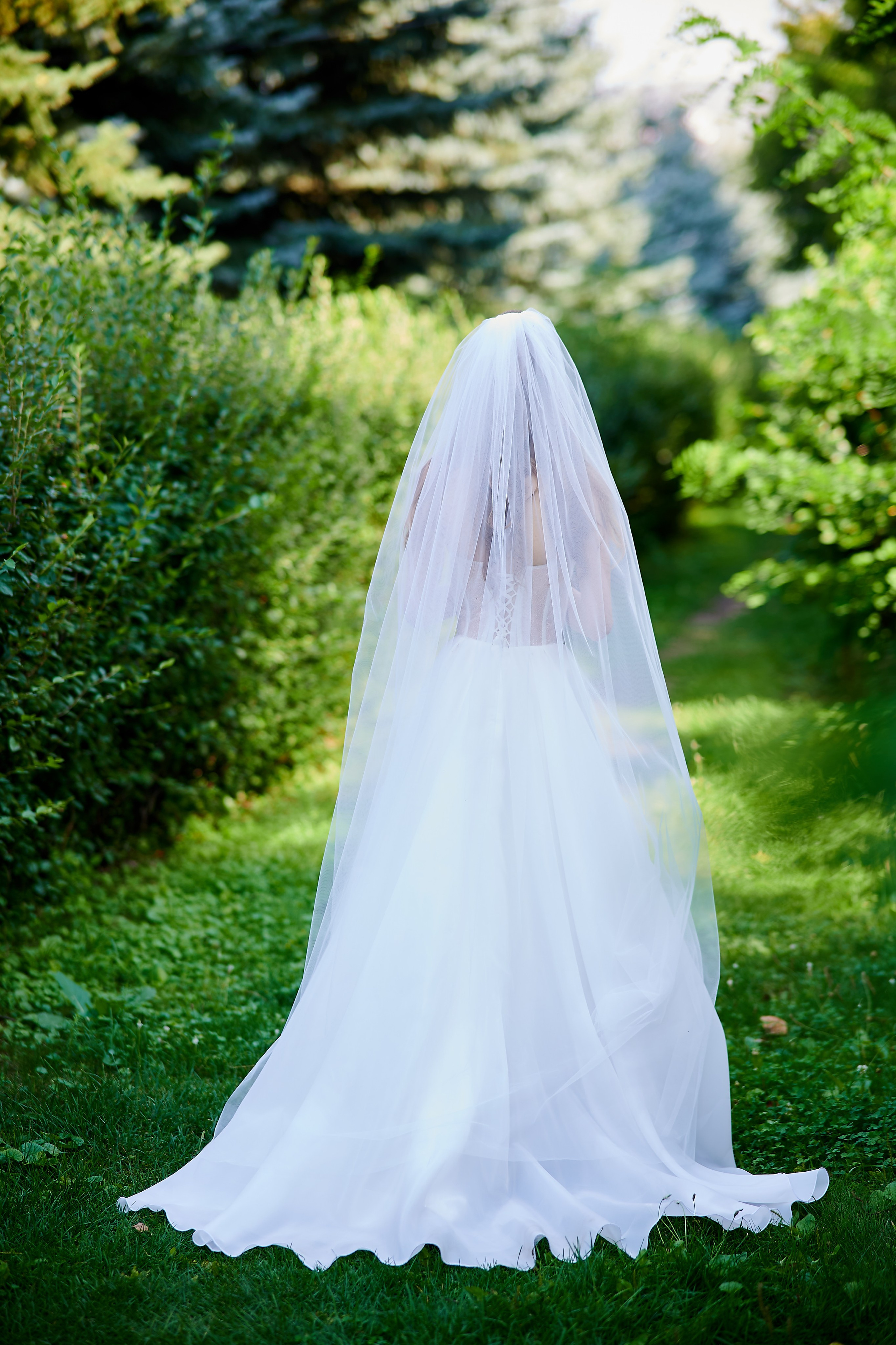 Elizaveta & Vladimir 08/08/26. Профессиональный репортажный фотограф в Самаре Никита Королев