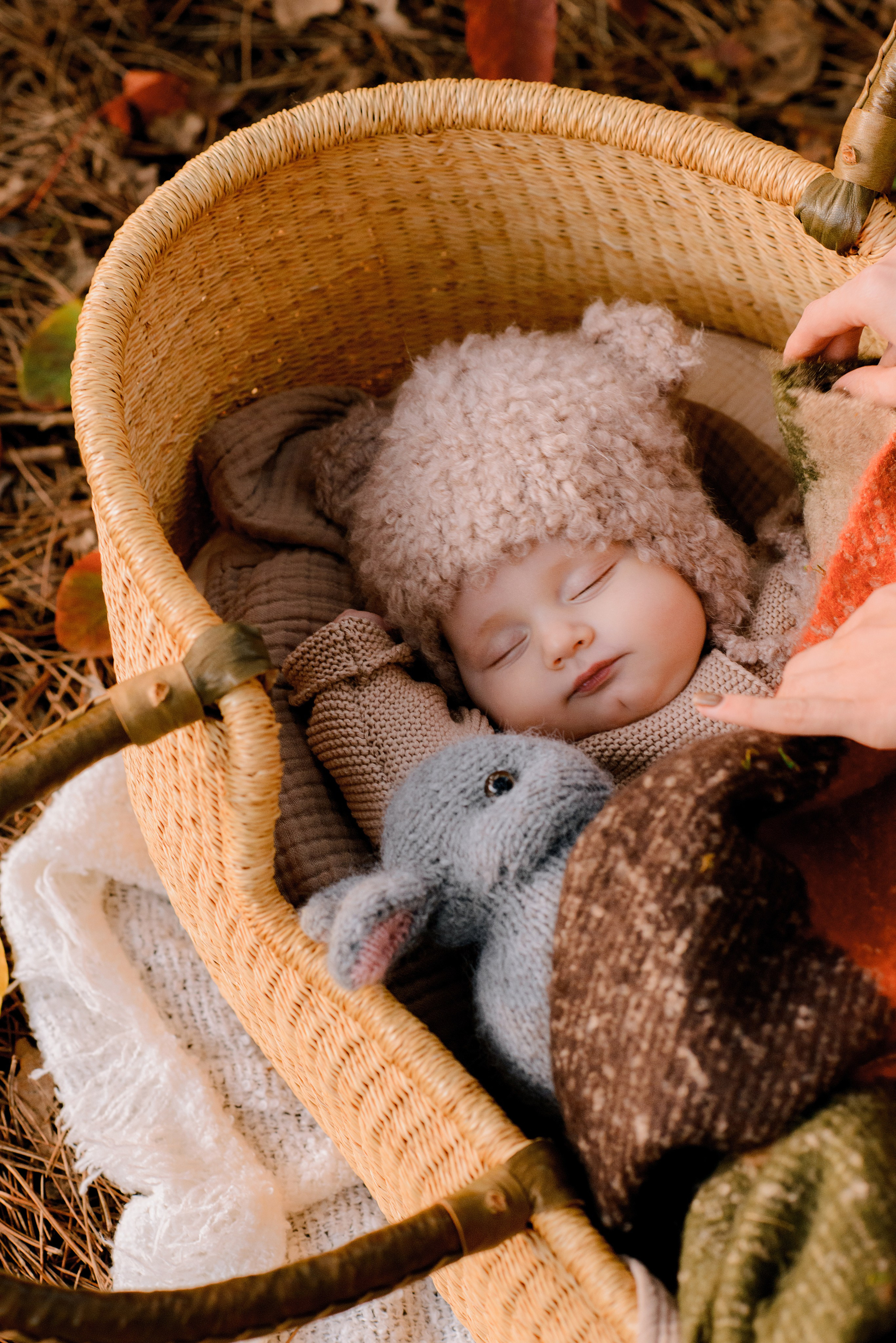 Олеся, Мирон и Сава. Свадебный и семейный фотограф в Ростове-на-Дону Дарья Герасименко