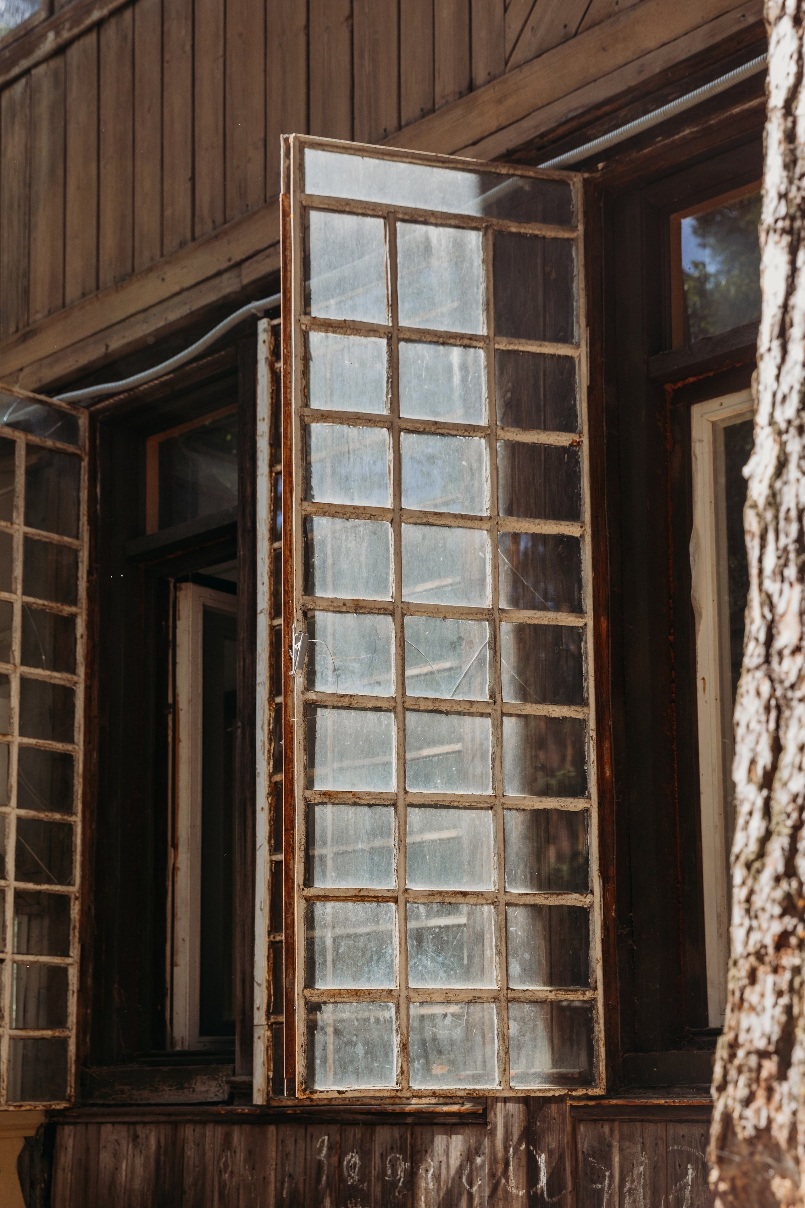 Родные люди «Кратово». Леся Гаранина. Семейный фотограф/видеограф Москва и область