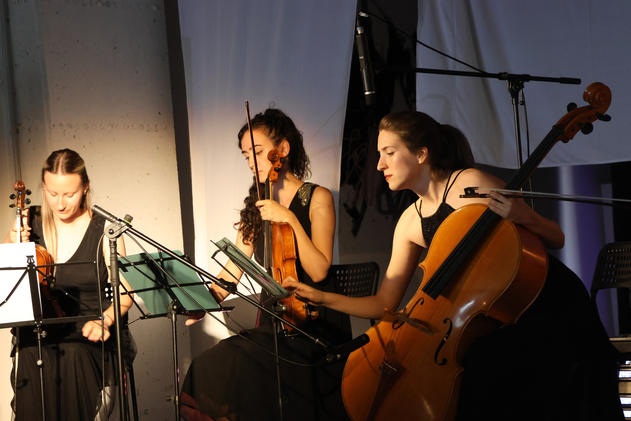 Мероприятия. Фотограф в Белграде