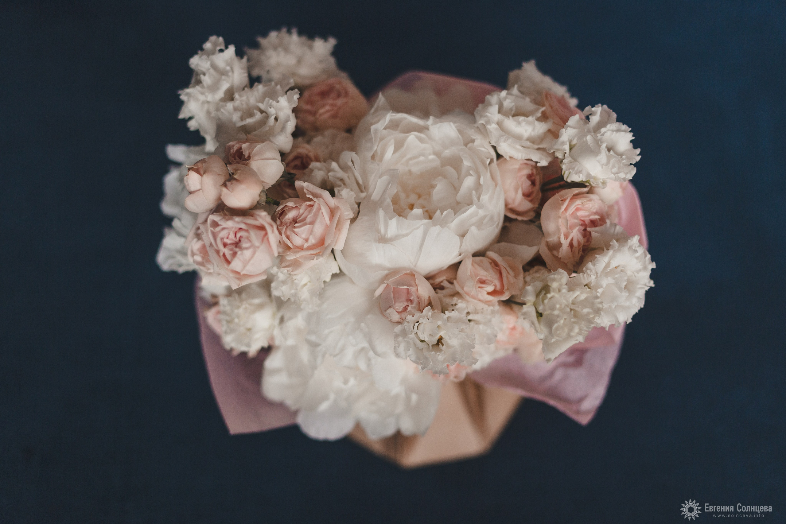 Анна и Михаил. Фотограф в Санкт-Петербурге, — Евгения Солнцева