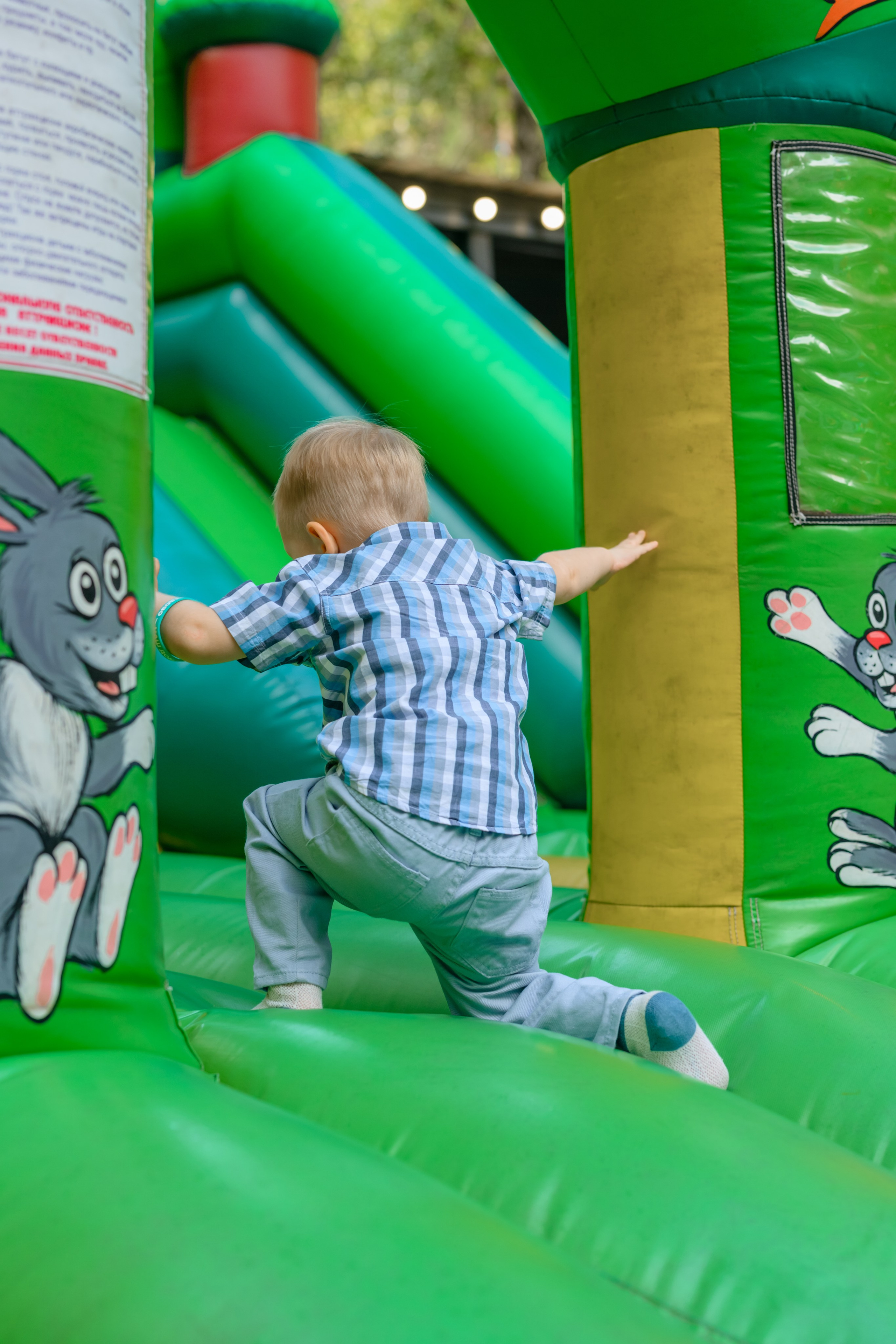 Лев 3 года. Семейный фотограф и анималист в Москве и Московской области