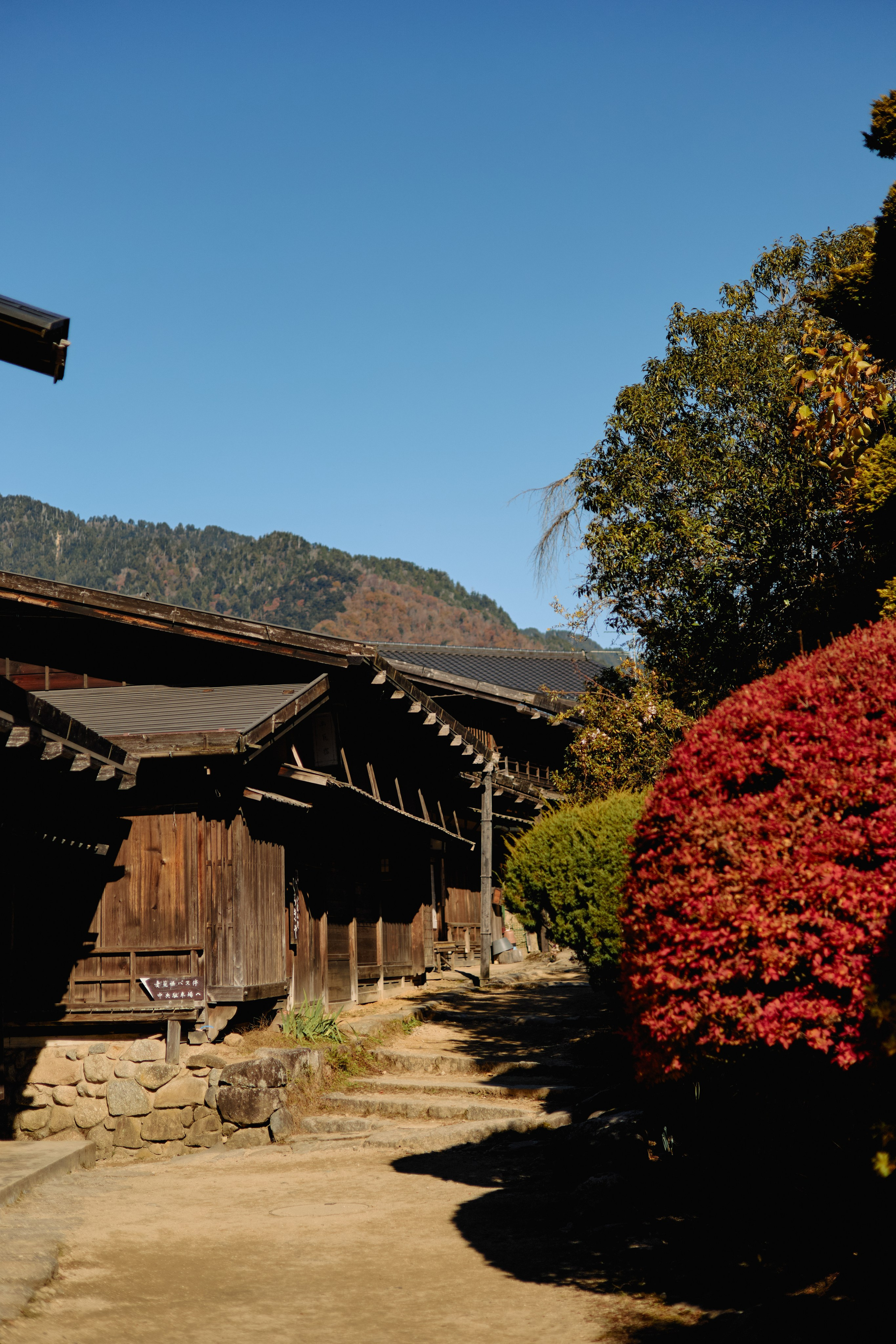 Япония. Профессиональный Фотограф во Владимире, в Москве и в Суздале — Полина Романычева