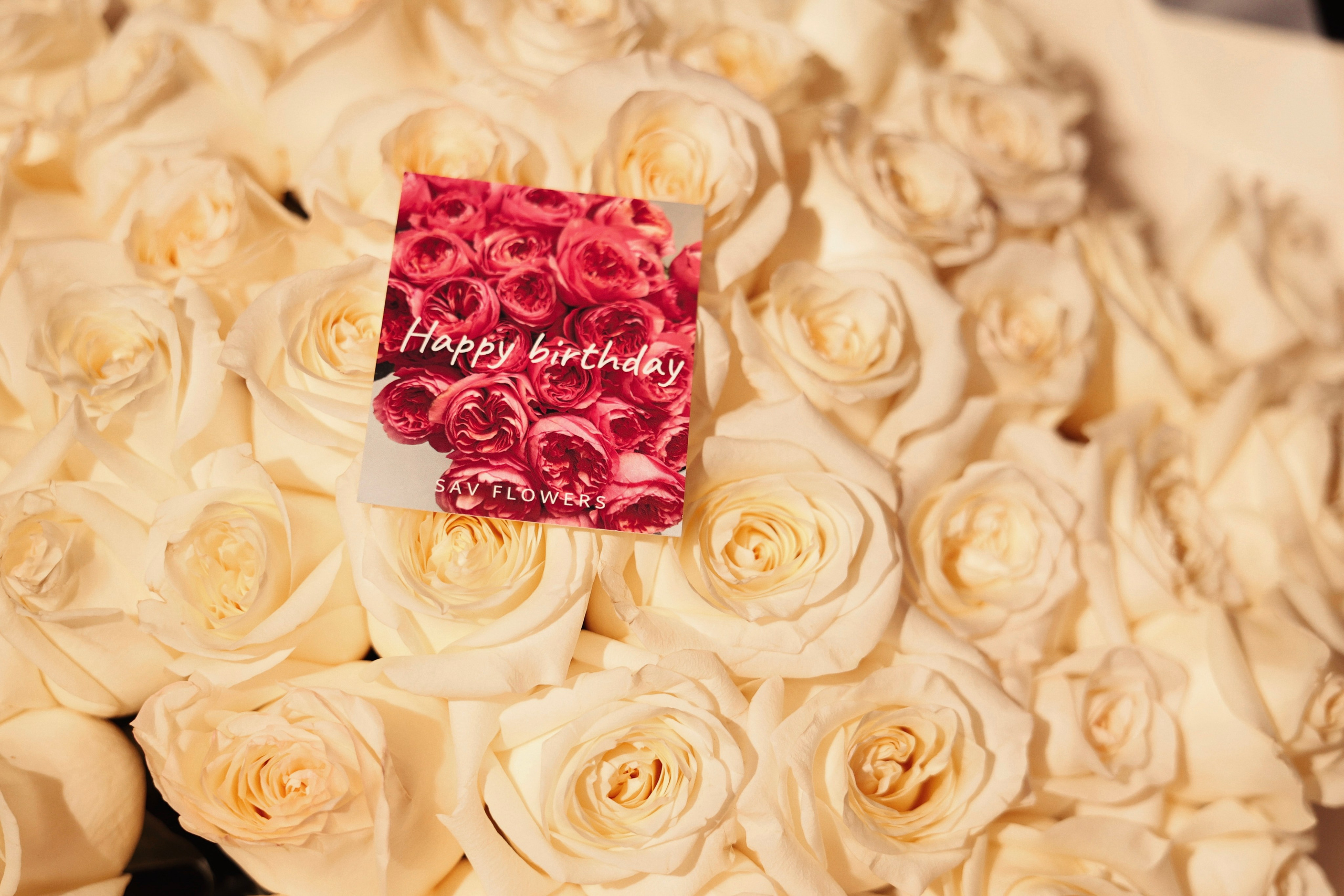 День рождения Татьяны. Свадебный и женский фотограф Ростов-на-Дону