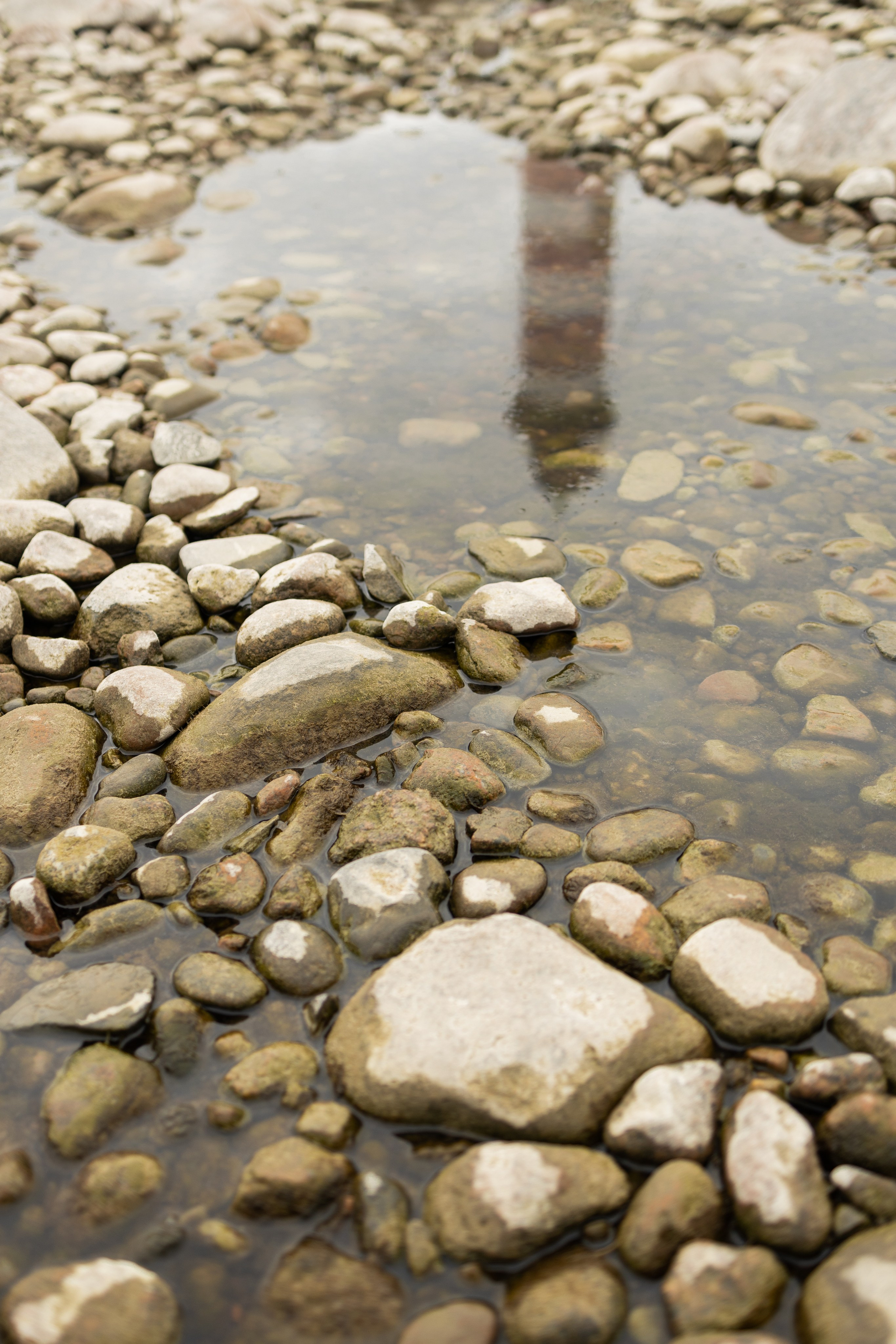 Эстетика П р о Я в л е н и я. Виноградова Маргарита. Фотограф P r o Явления
