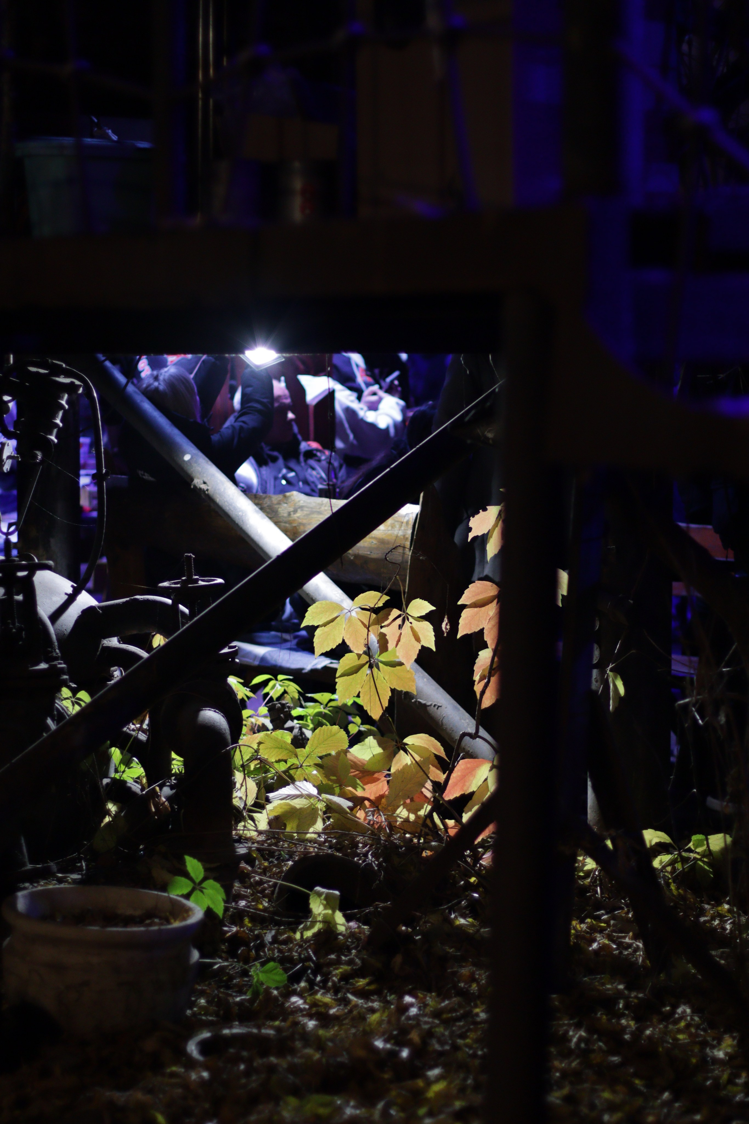 Мотоклуб «НОЧНЫЕ ВОЛКИ» Закрытие сезона 2025. Jane Kudryavtseva | MODEL PHOTO & PORTRAIT