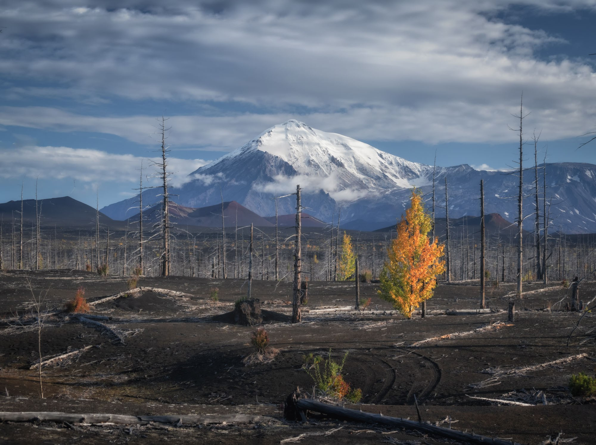 Фотографии Камчатка