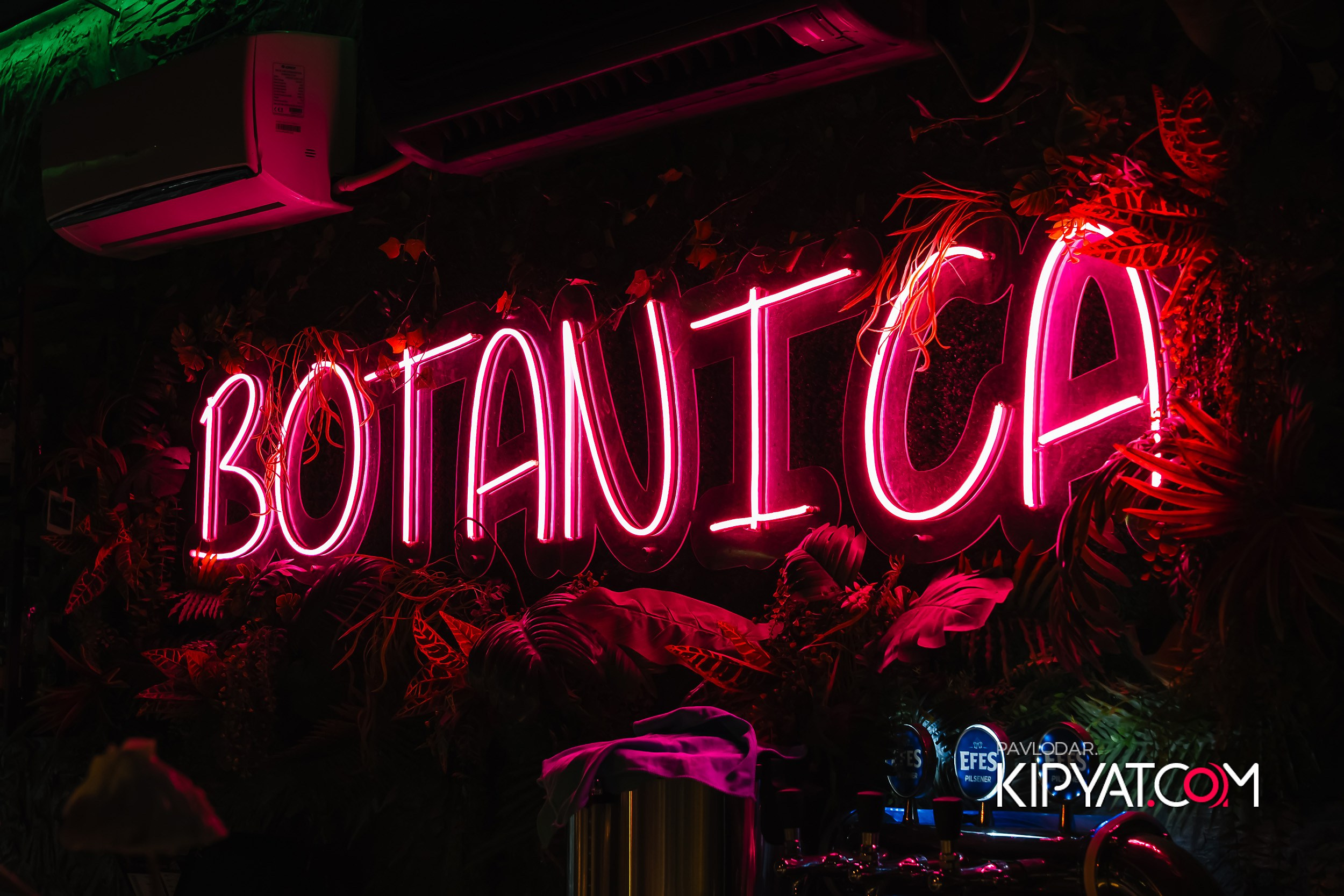 Botanica. Кипятком Павлодар