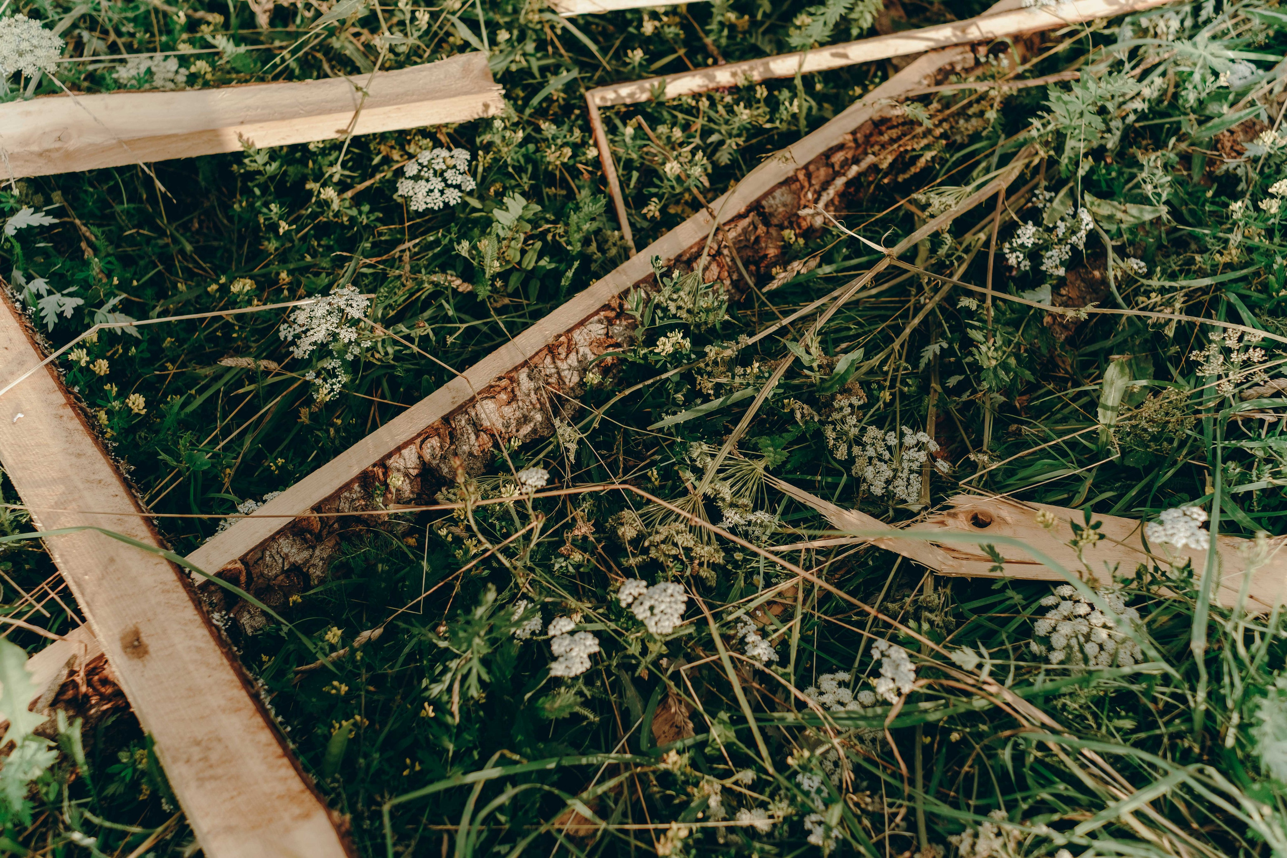 Бессонница 2025. Фотограф Аннё| Москва