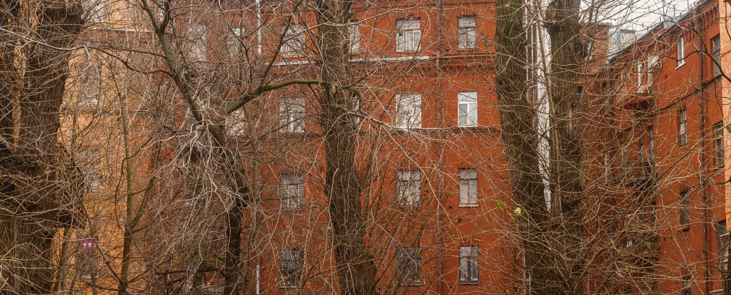 Санкт-Петербург. Фотограф Балаев Михаил
