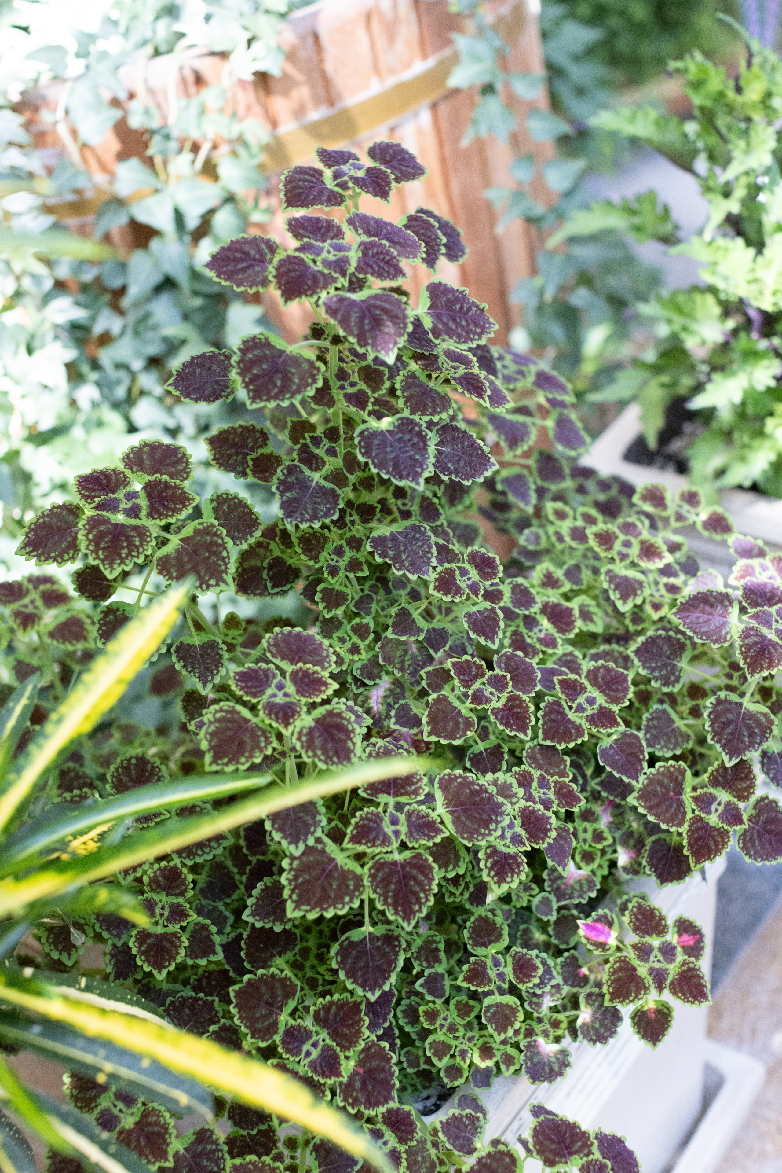 Фото Москвы. Студия Максима Белослюдцева