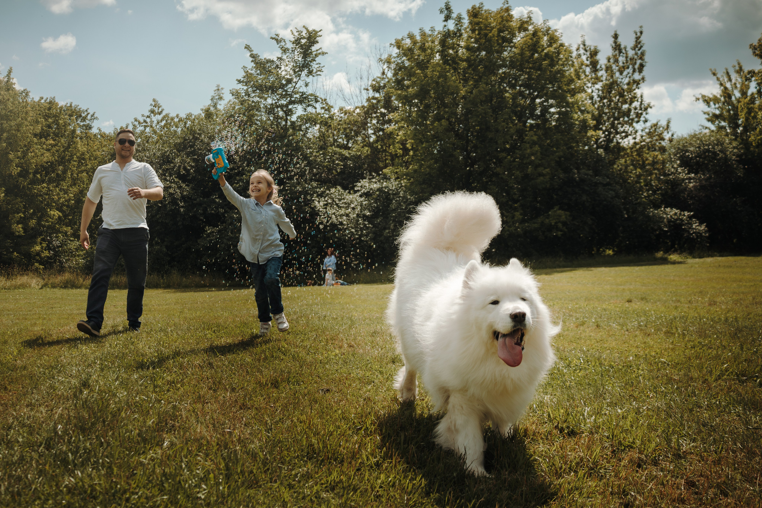Семейная фотосессия с собаками в парке. Фотограф-анималист в Москве Екатерина Тихонова