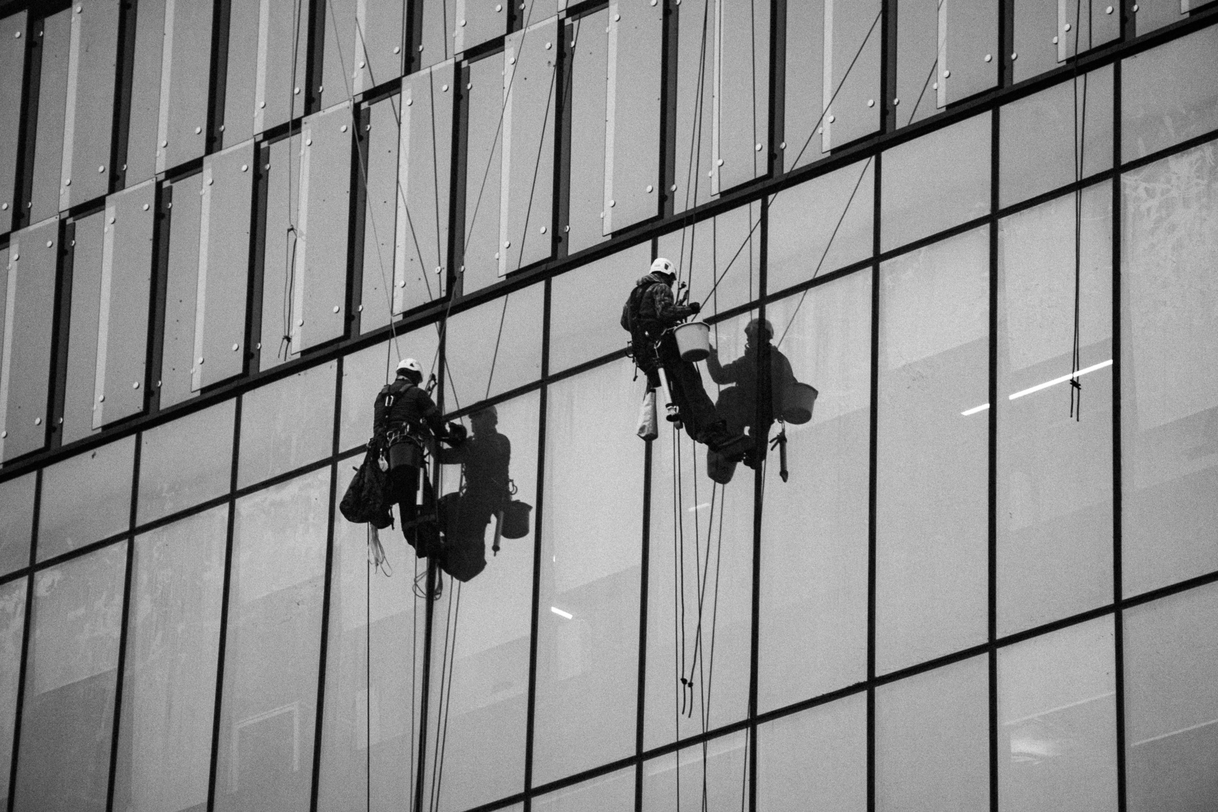 Почти белый воротничок. Photographer Pavel Romashchenko