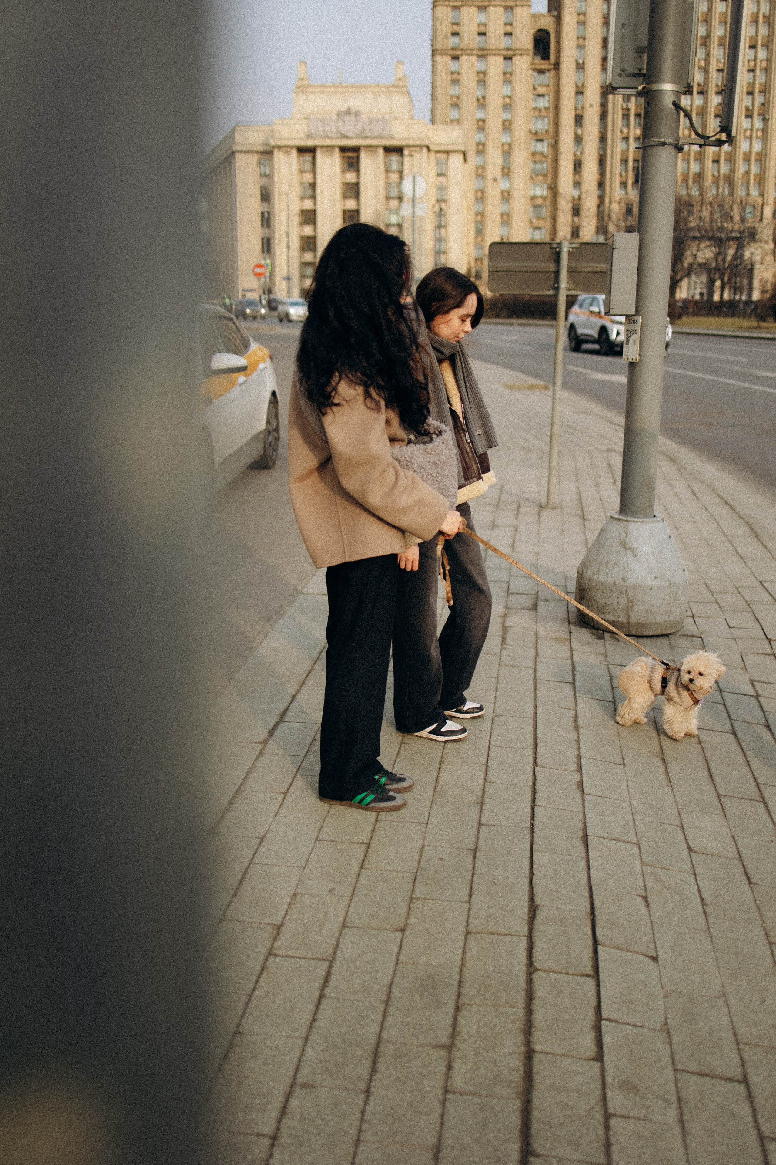 Маша, Лиза и Луна. Фотораф — анималист Мария Шистка