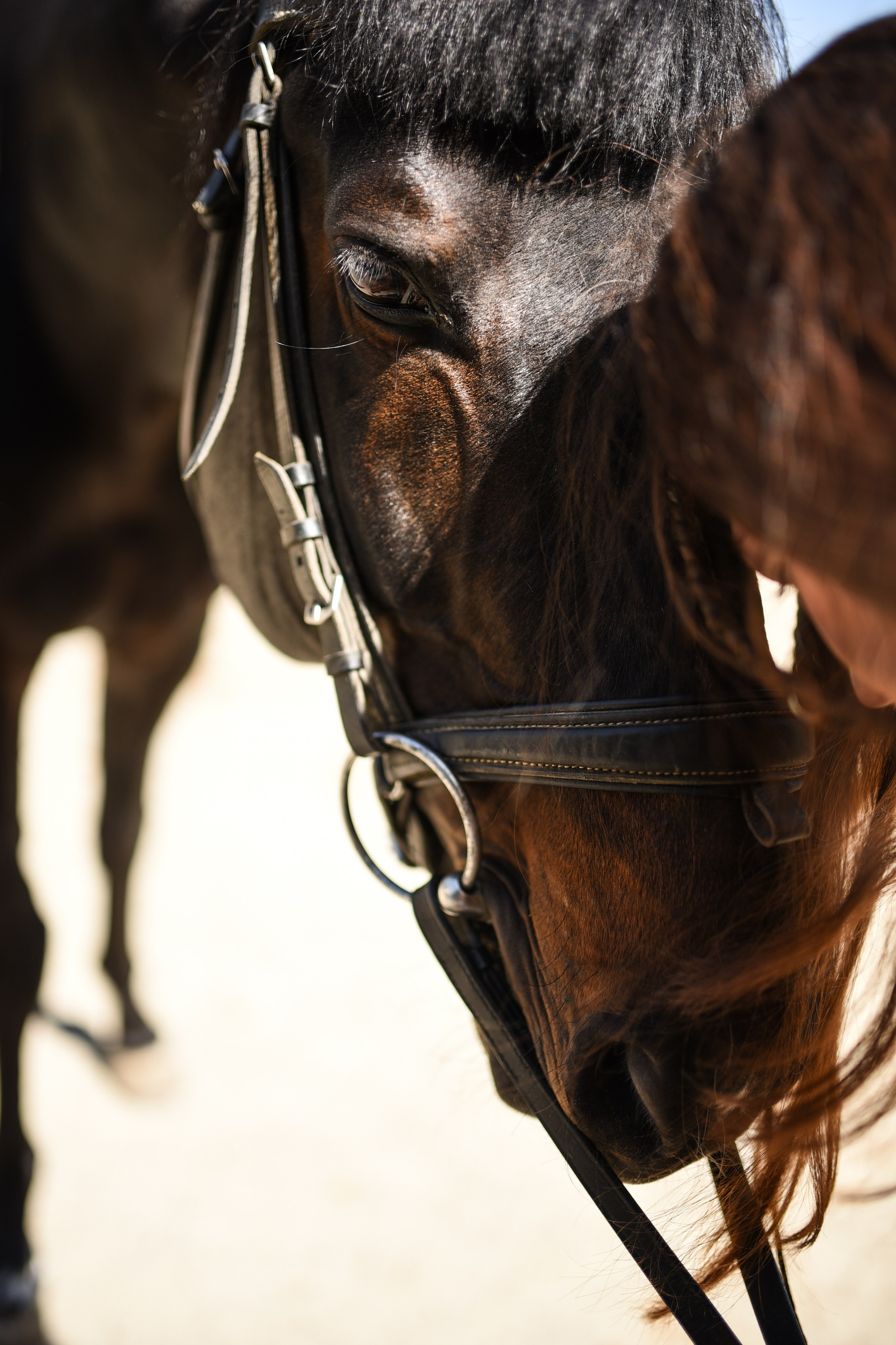 Natalie. Anastasia Serdyuk, travel photographer, travel photo, portraits, stories, fineart prints