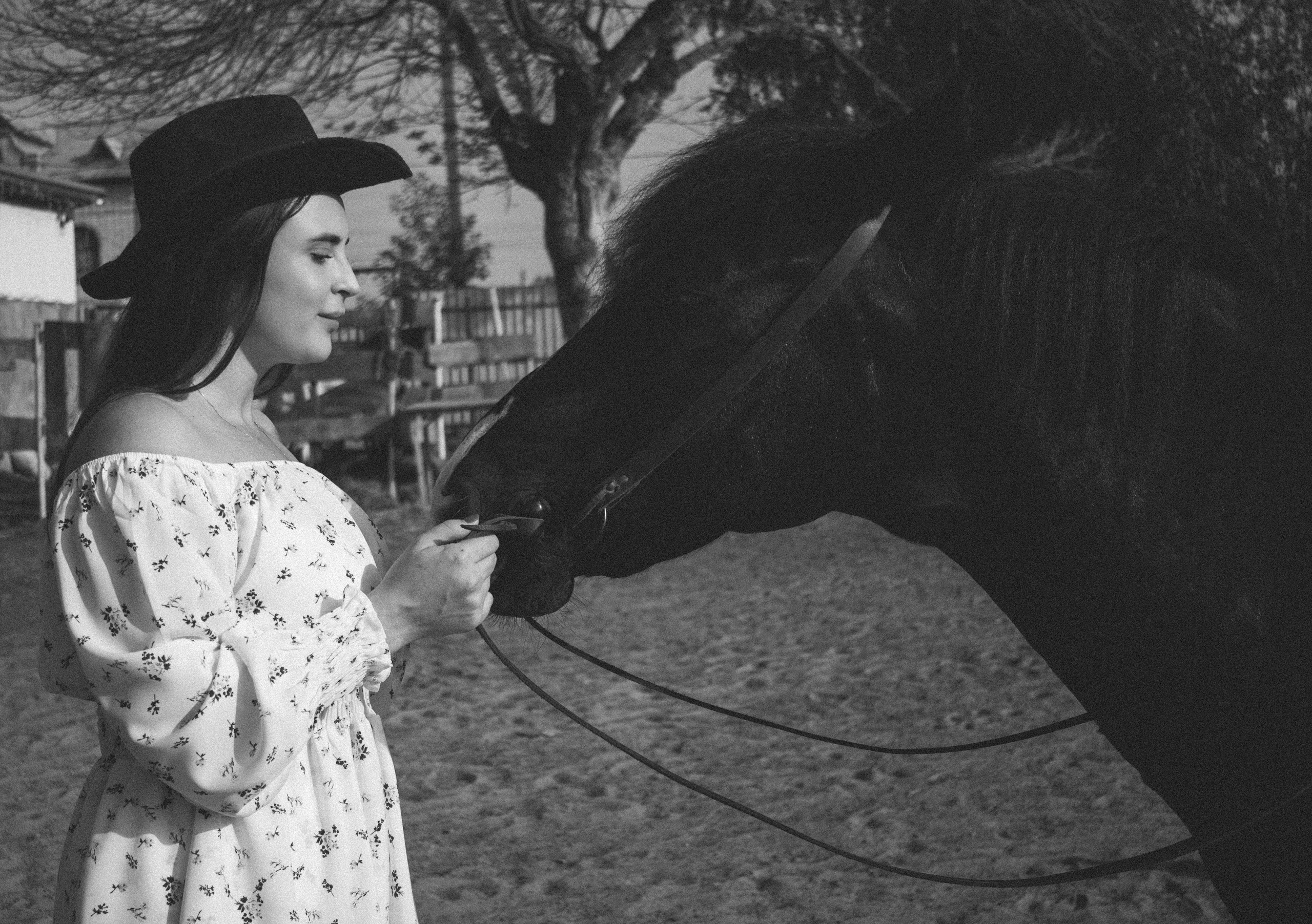 На конюшне. Фотограф Ксения Соколова — портретная, свадебная и семейная съемки в Барнауле