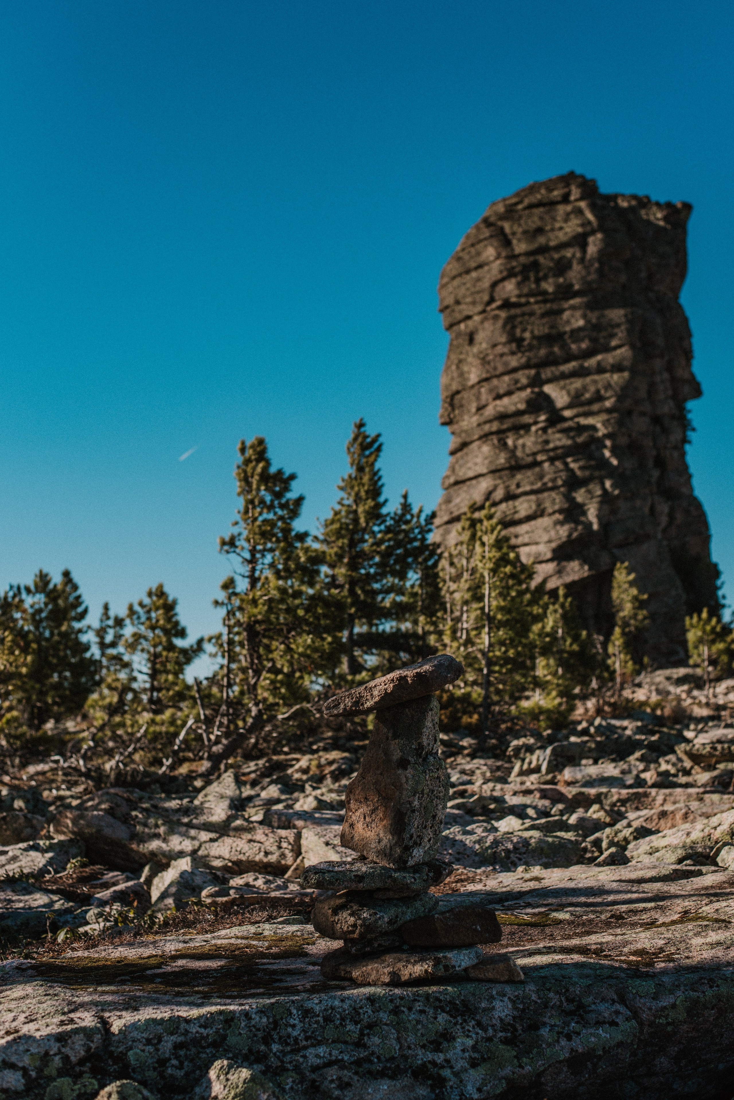 Кутурчины. Свадебный и семейный фотограф в Красноярске Наталья Дроздова