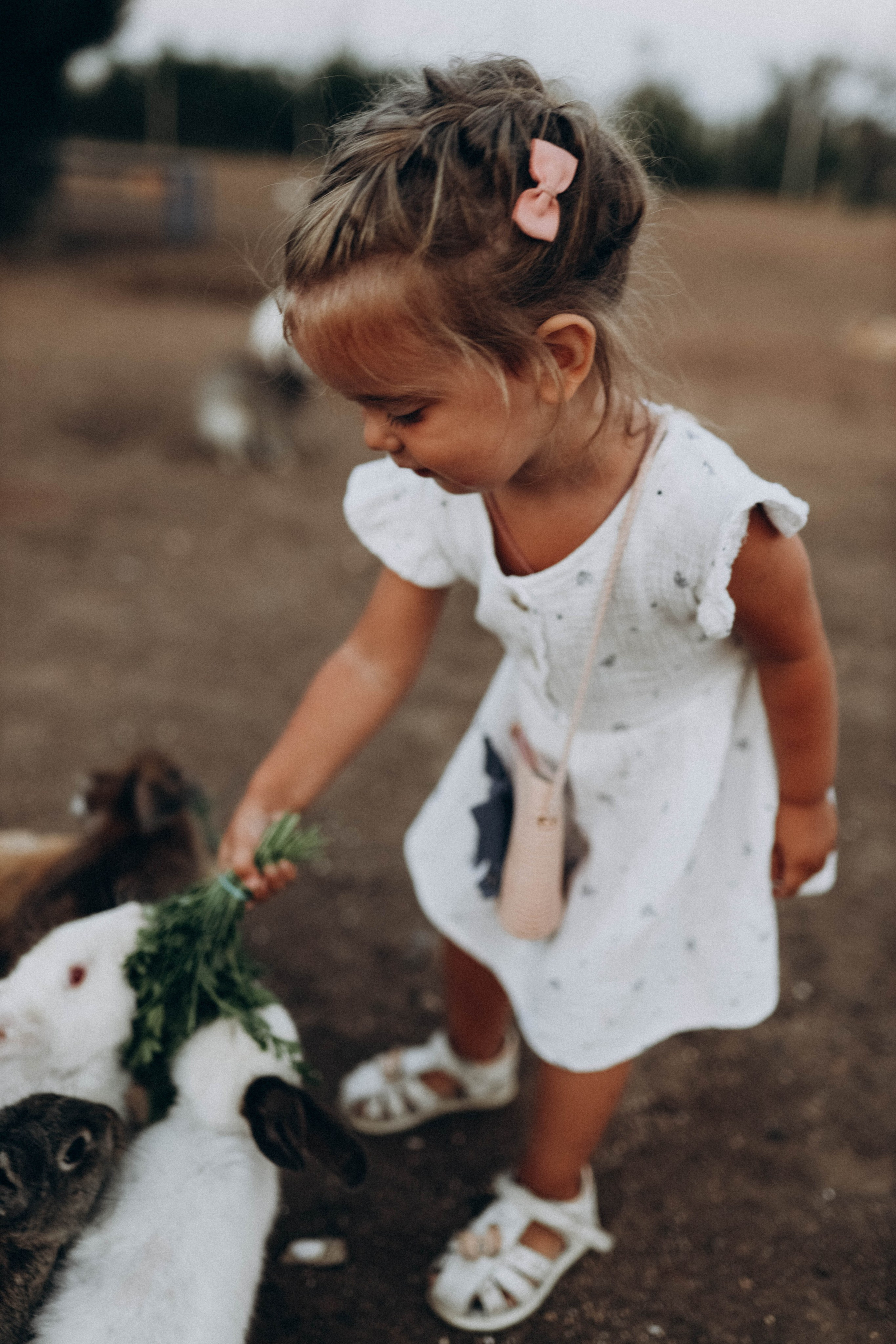 Кроликпарк 🐇. Индивидуальные и семейные съемки в Евпатории, Крыму Немировченко Анна