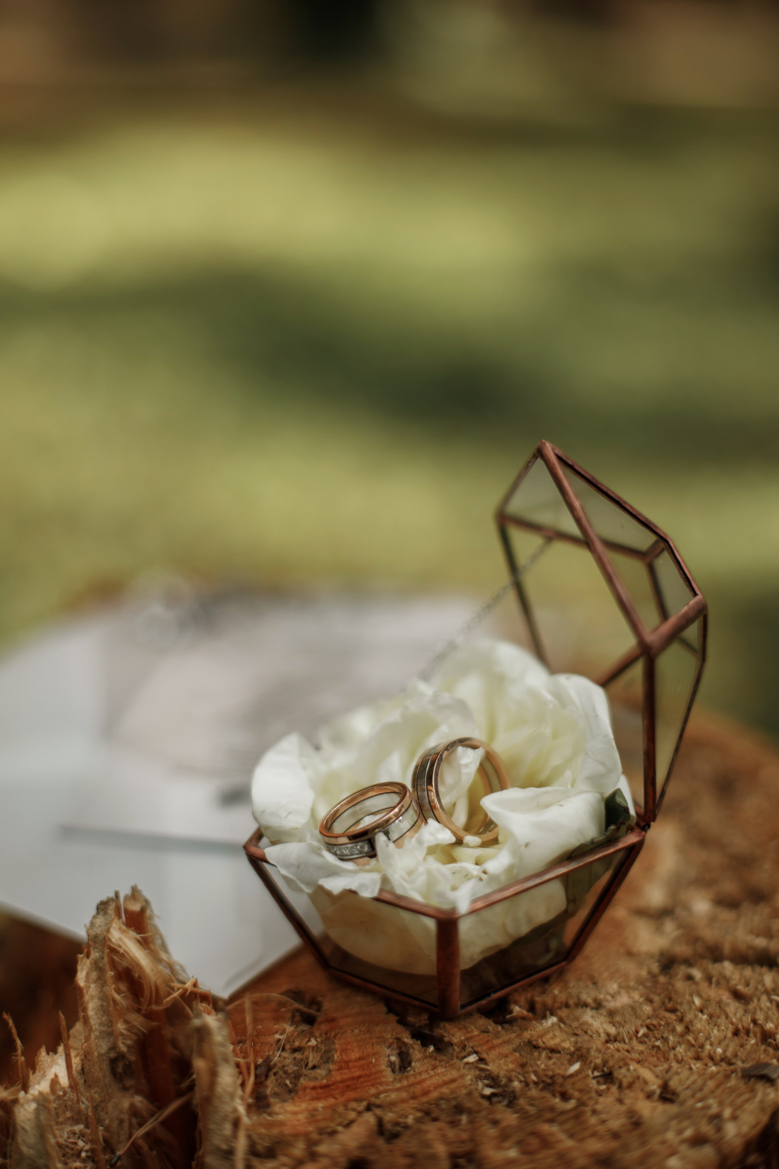 Екатерина + Даниил. Свадебный фотограф Наташа Анисенко