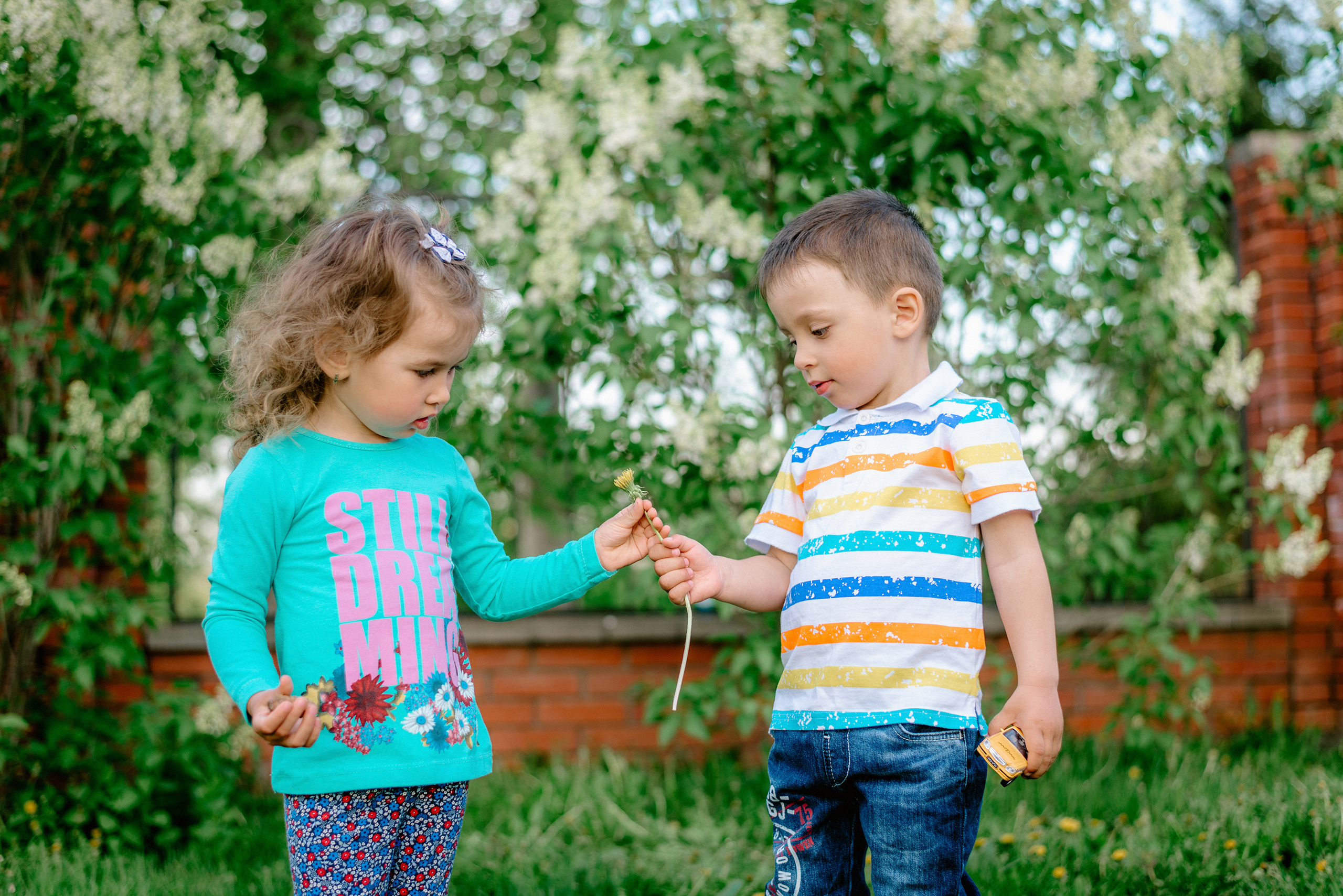 Маша, Лера и Вадик. Марина Тюкачева свадебный, семейный, детский фотограф