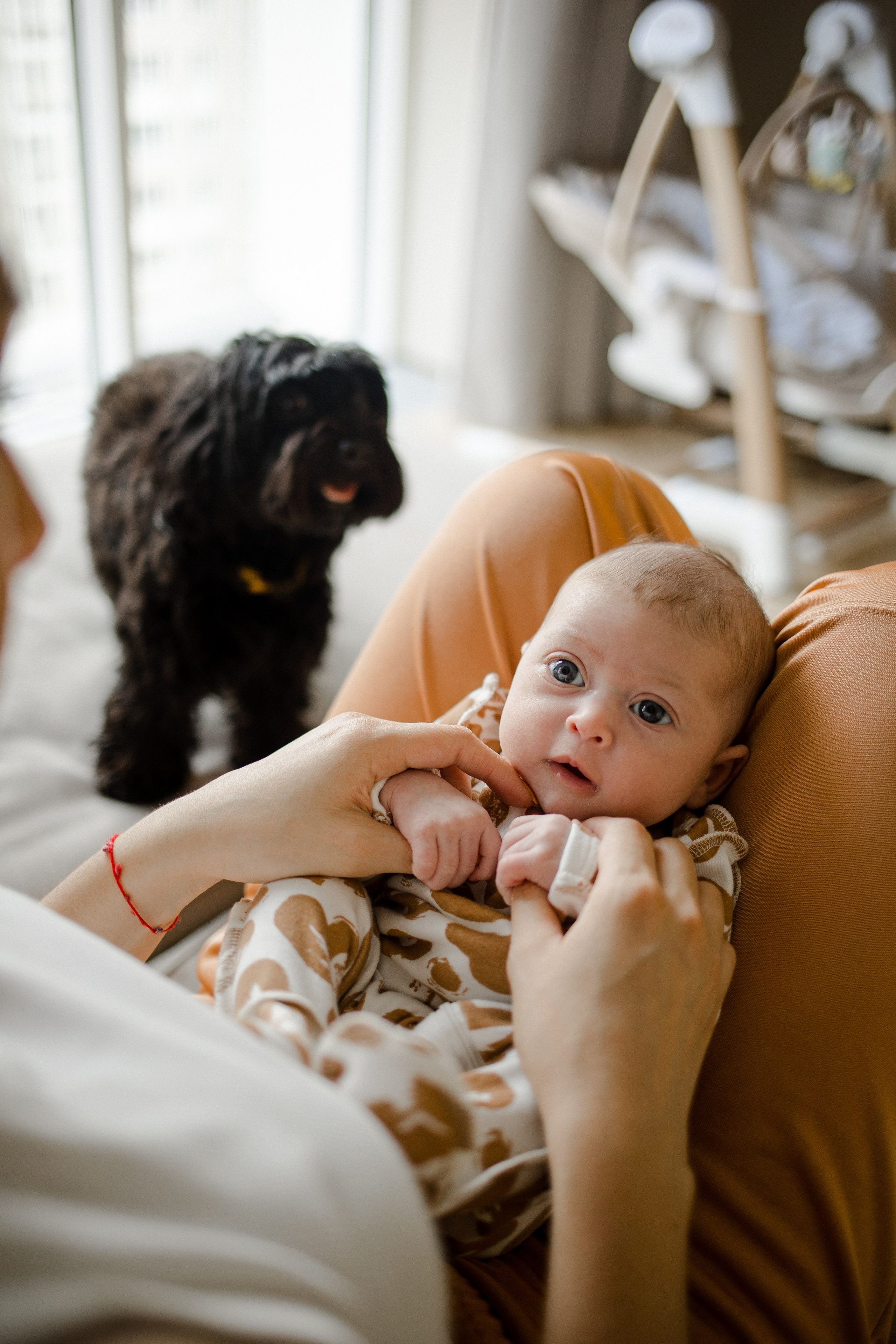 Диля с семьей. Семейный и детский фотограф в Москве Кузьмина Мария