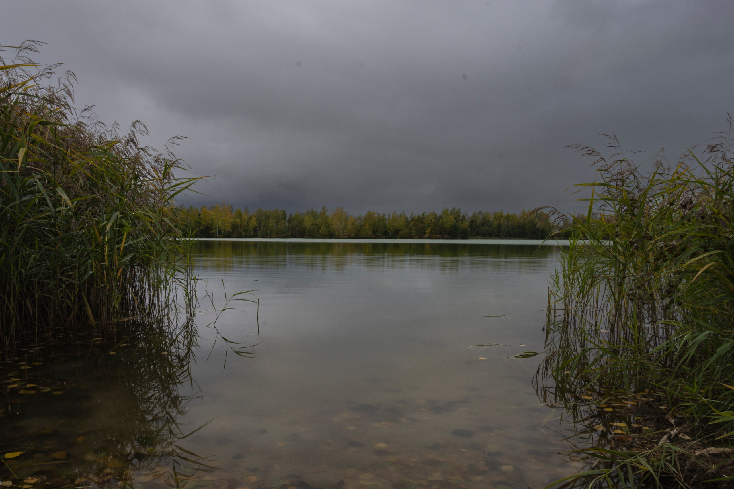 Фотопрогулка ДР. Фотограф Роман Адлер