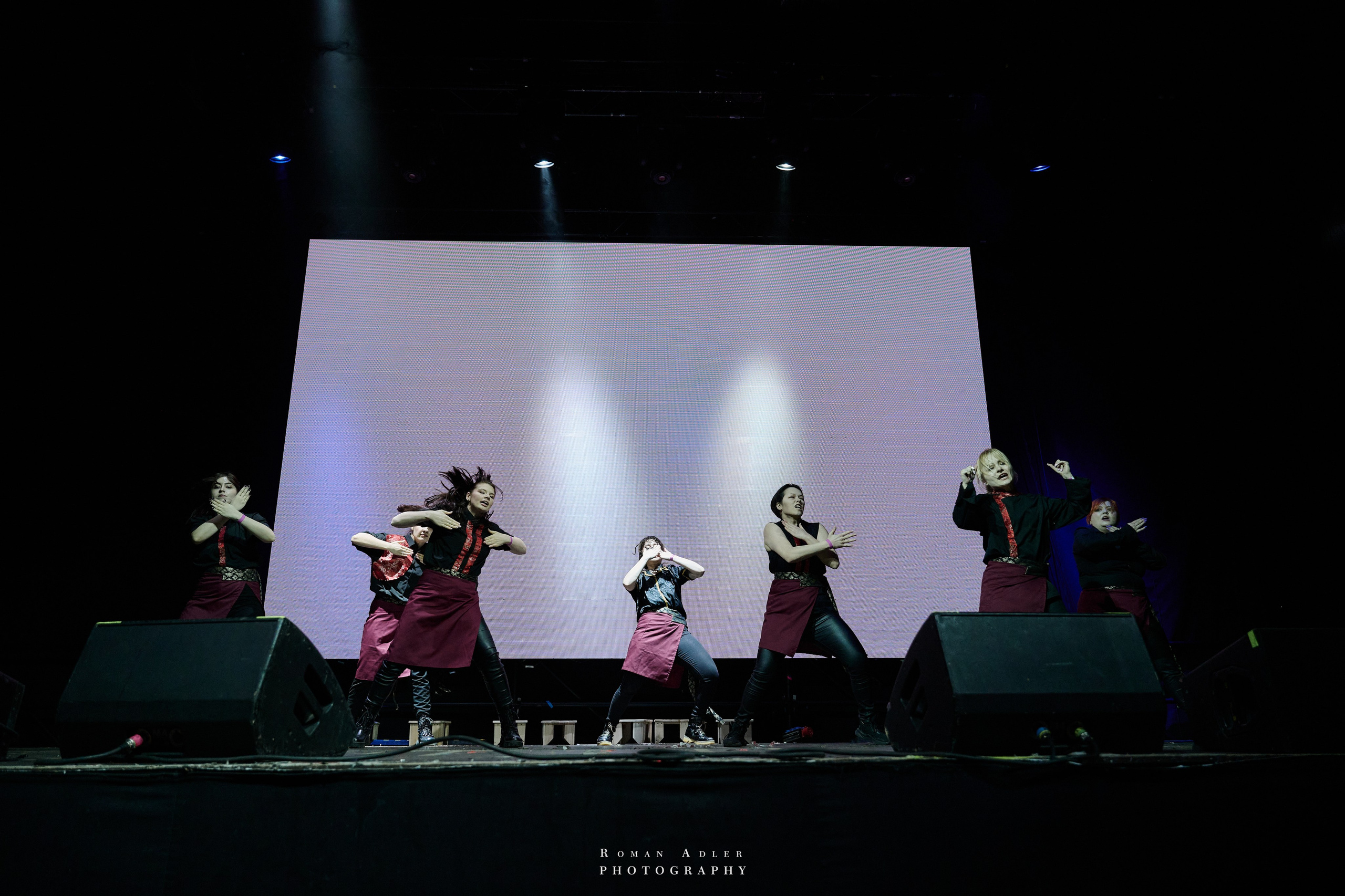 Фестиваль Idolcon 2025. Фотограф Роман Адлер