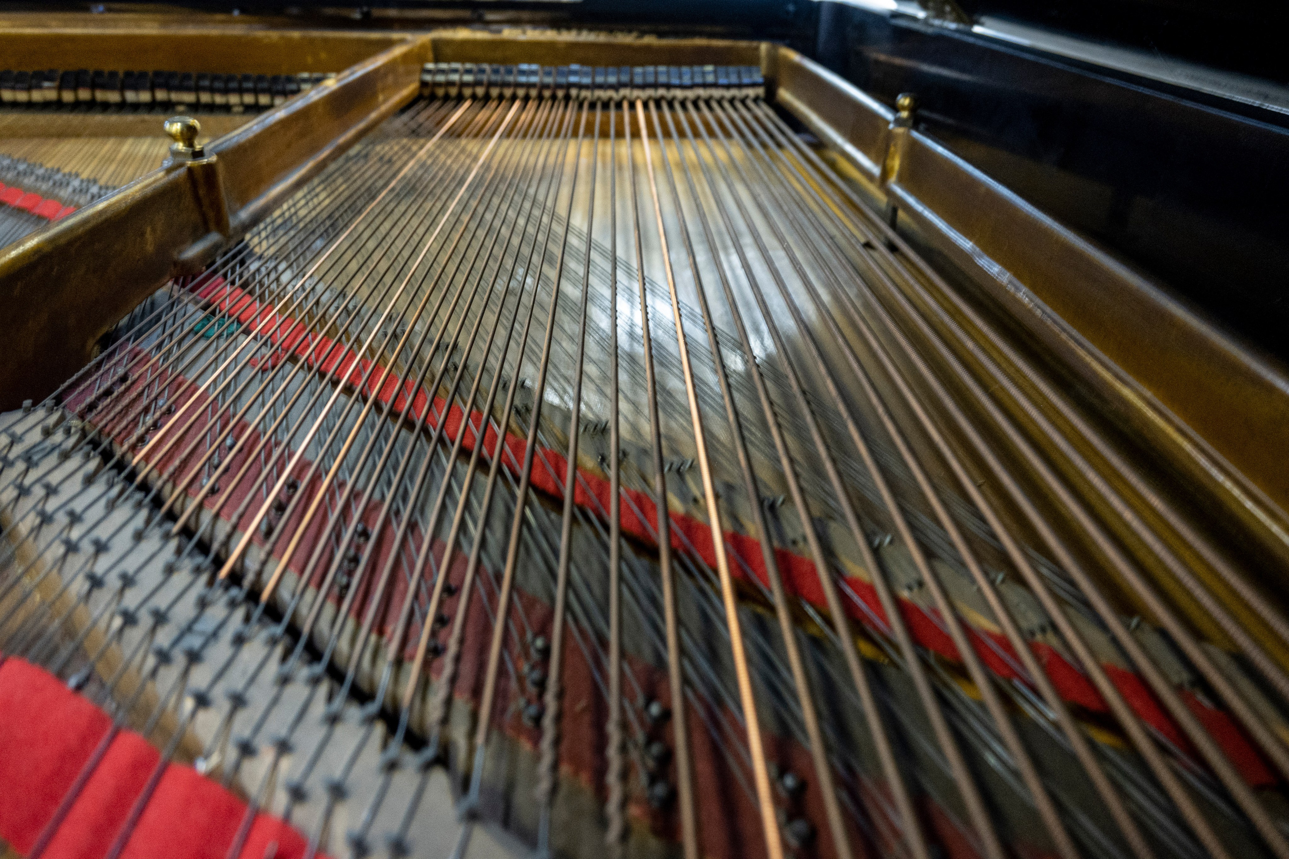 Творческий вечер. Друзья, стихи и песни!. Фотограф Роман Адлер