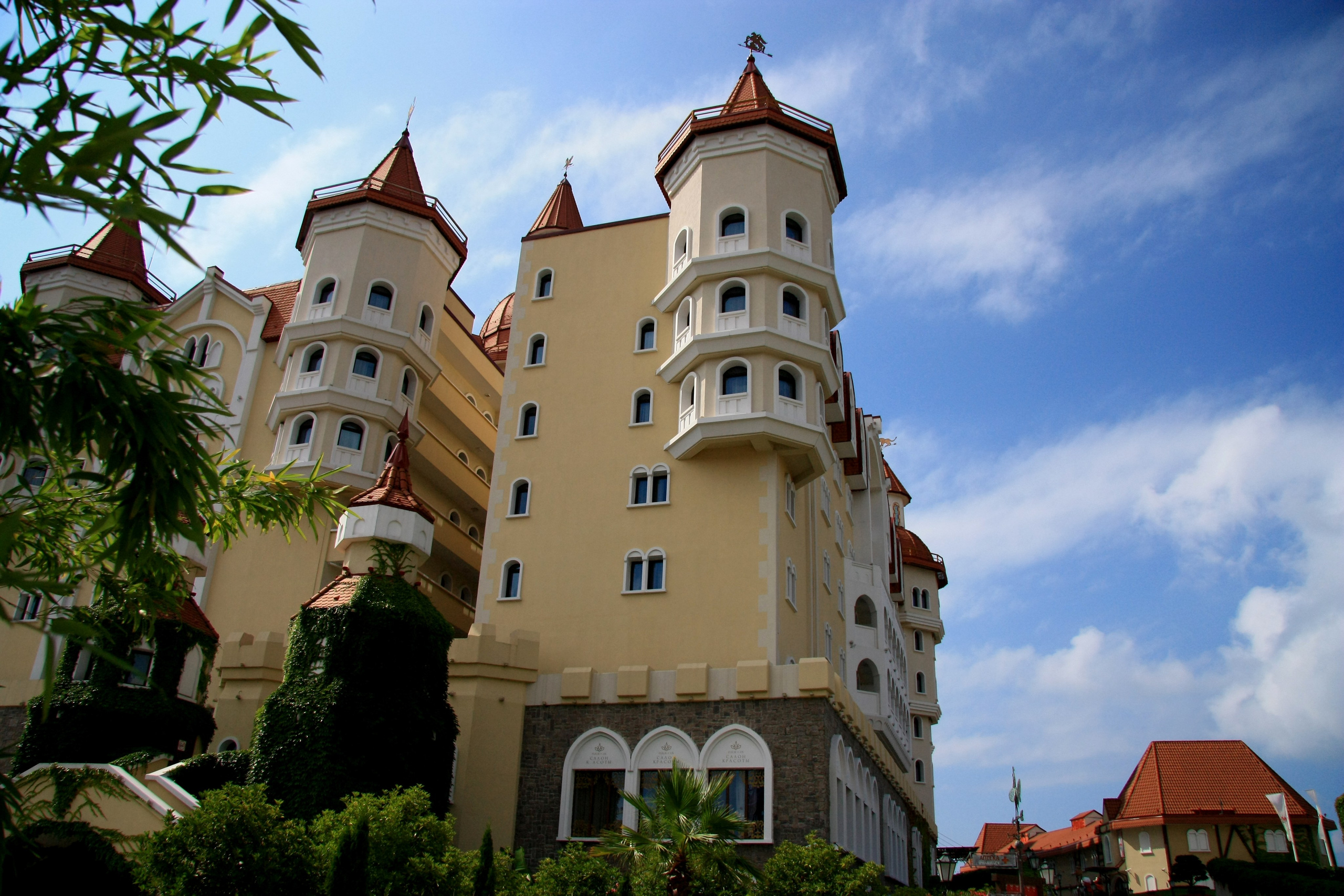 Первые кадры. Сочи — парк. Фотограф Роман Адлер