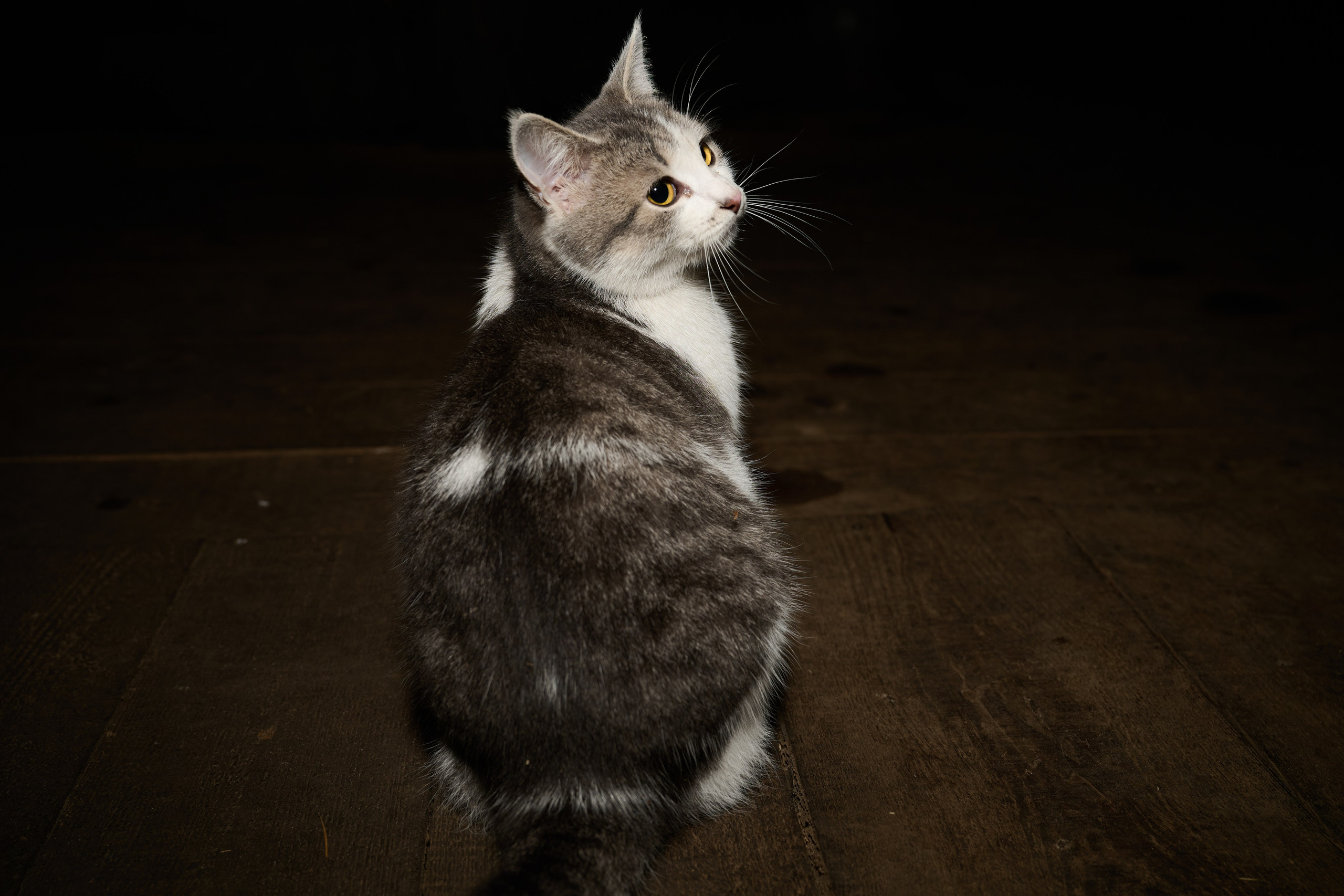 Съемки для фотопроекта Территории. Фотограф Роман Адлер