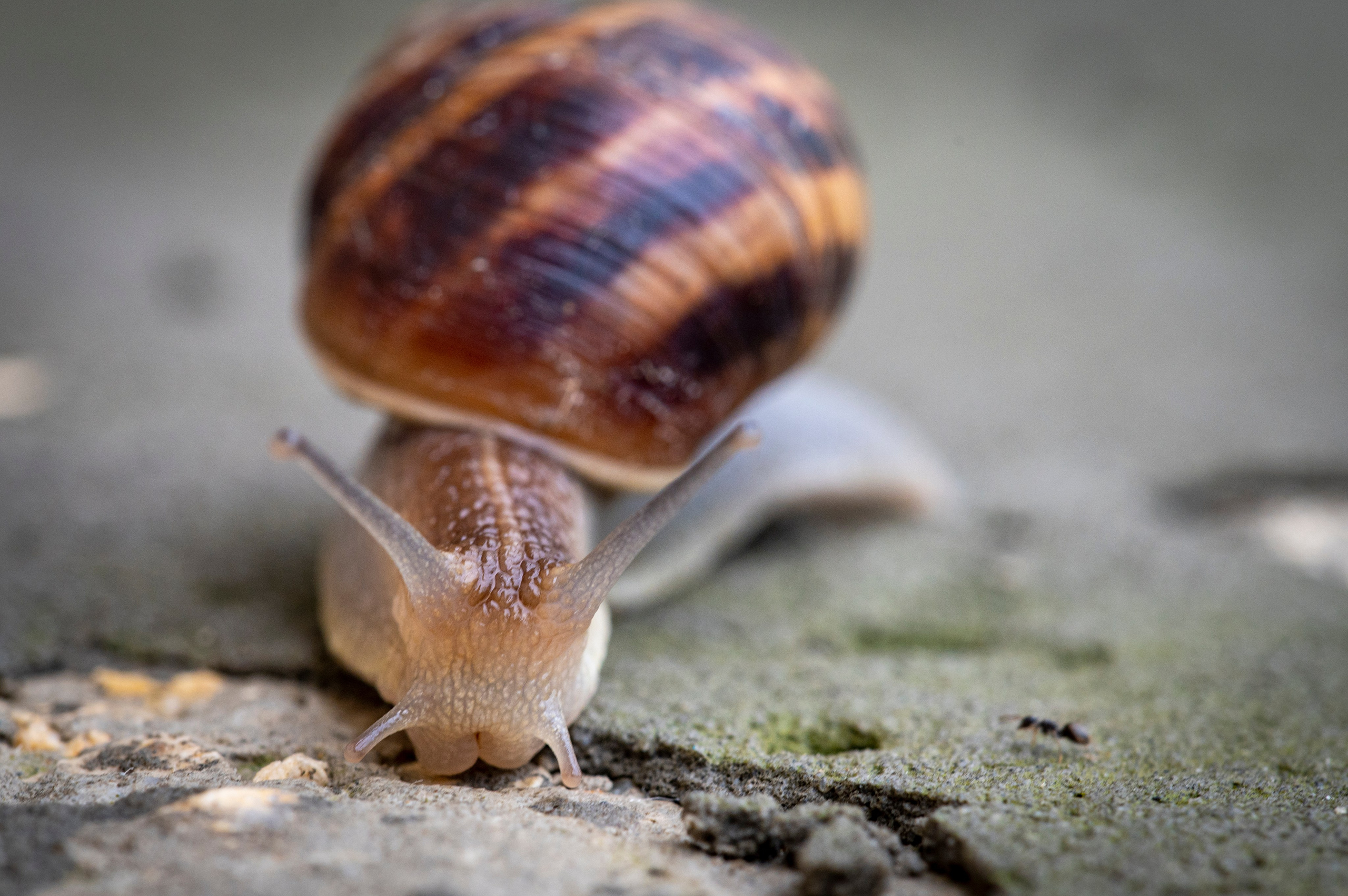 Крым май 2022. Фотограф Роман Адлер