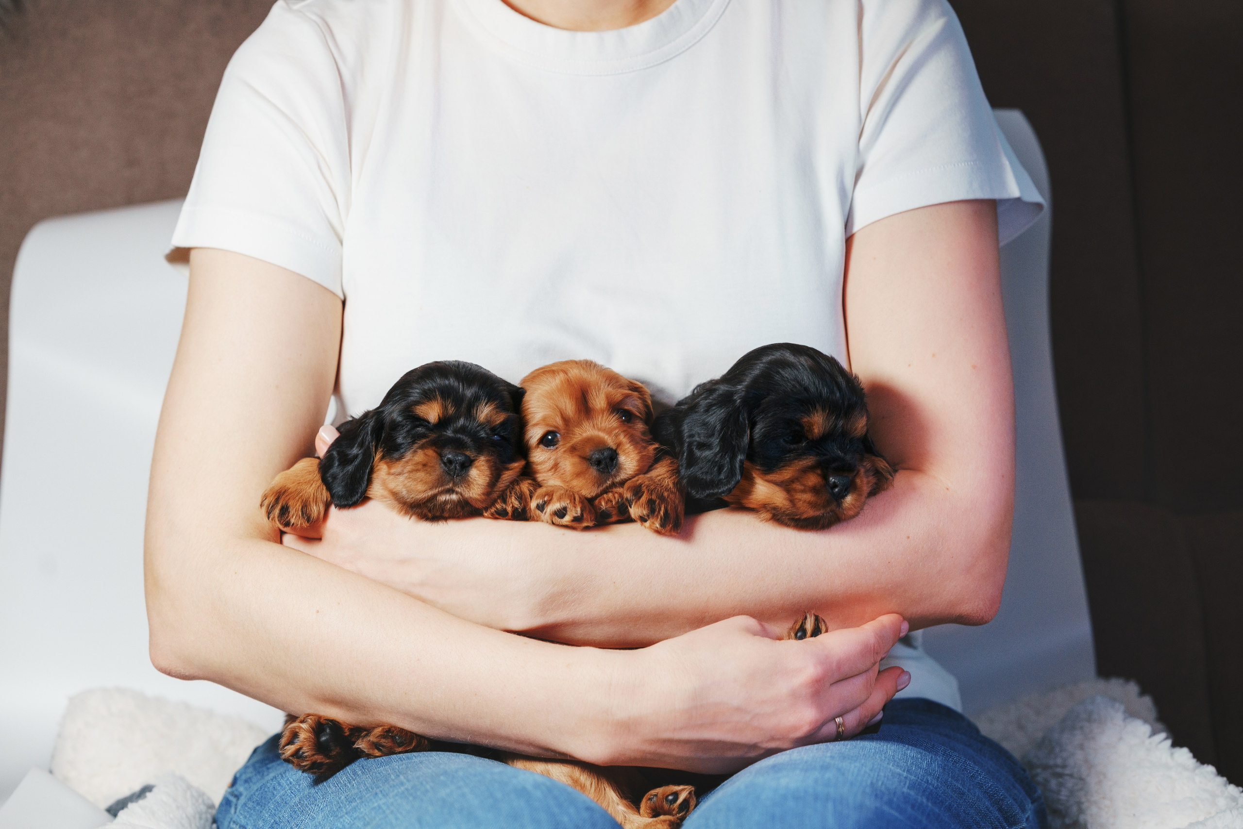 ККЧС. Фотограф анималист Осипчикова Мария