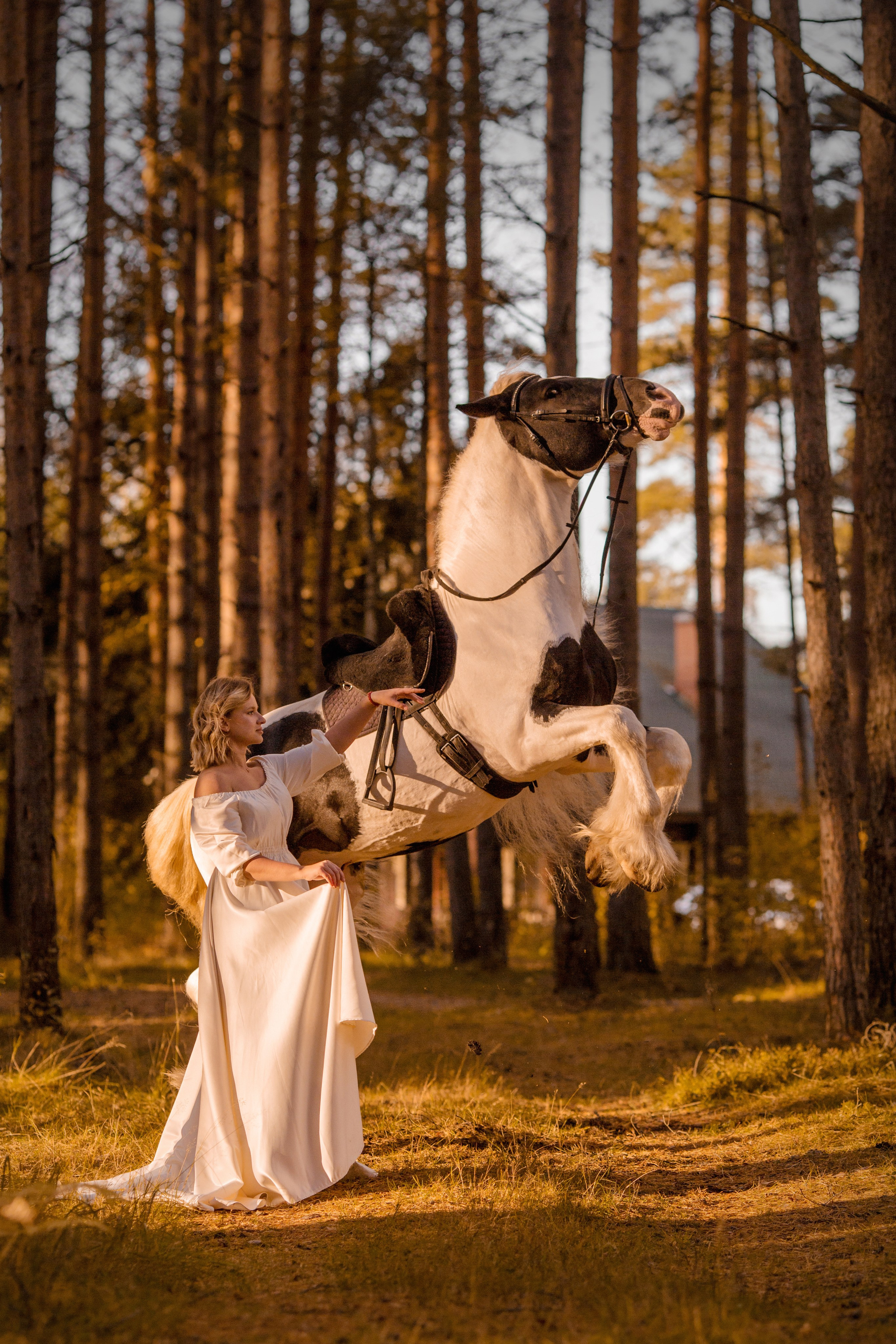 Фотосессия в белом платье в сосновом бору