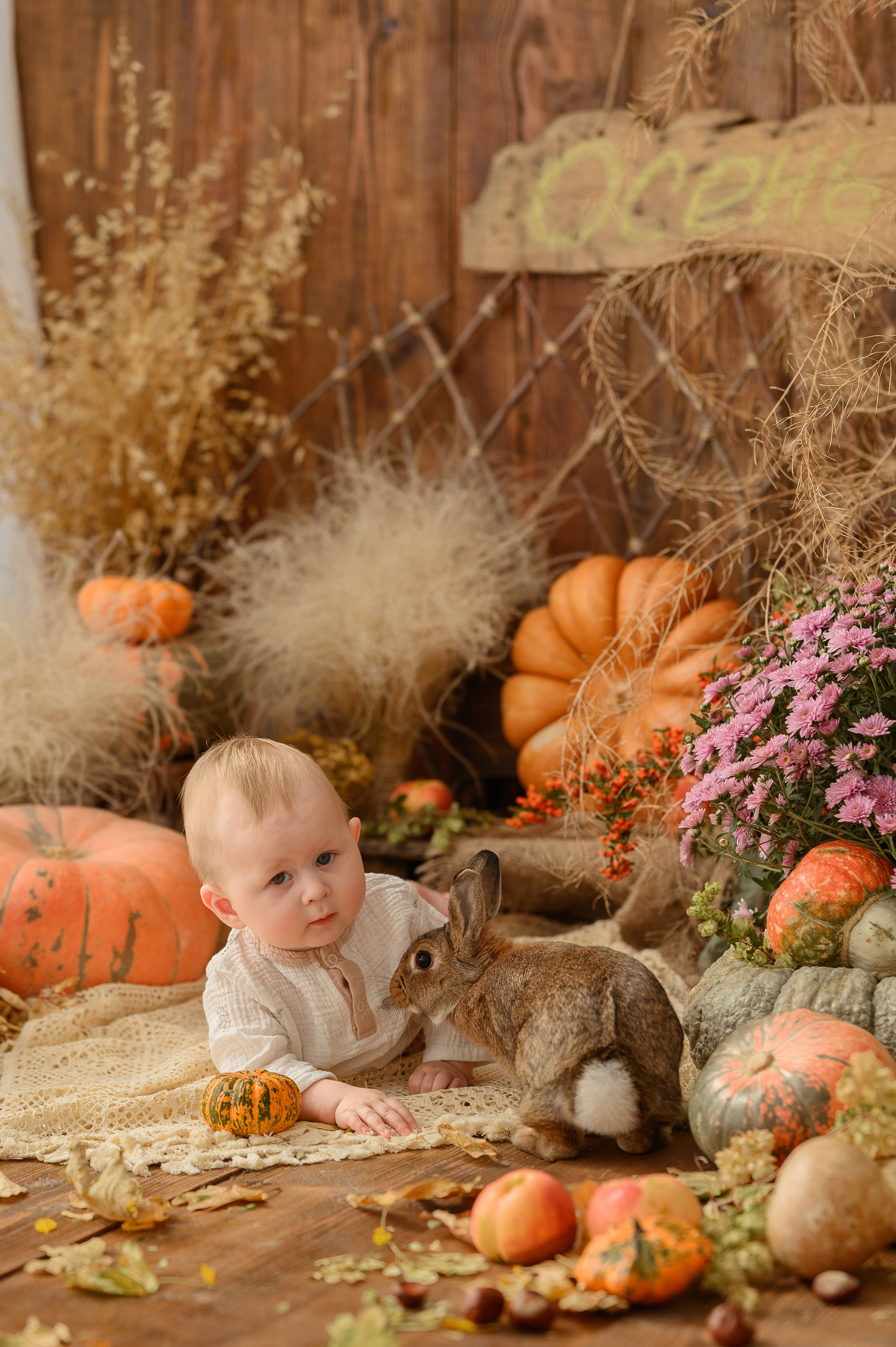 Дамирчик и кролик в тыквах. Детский и семейный фотограф Ирина Гладких