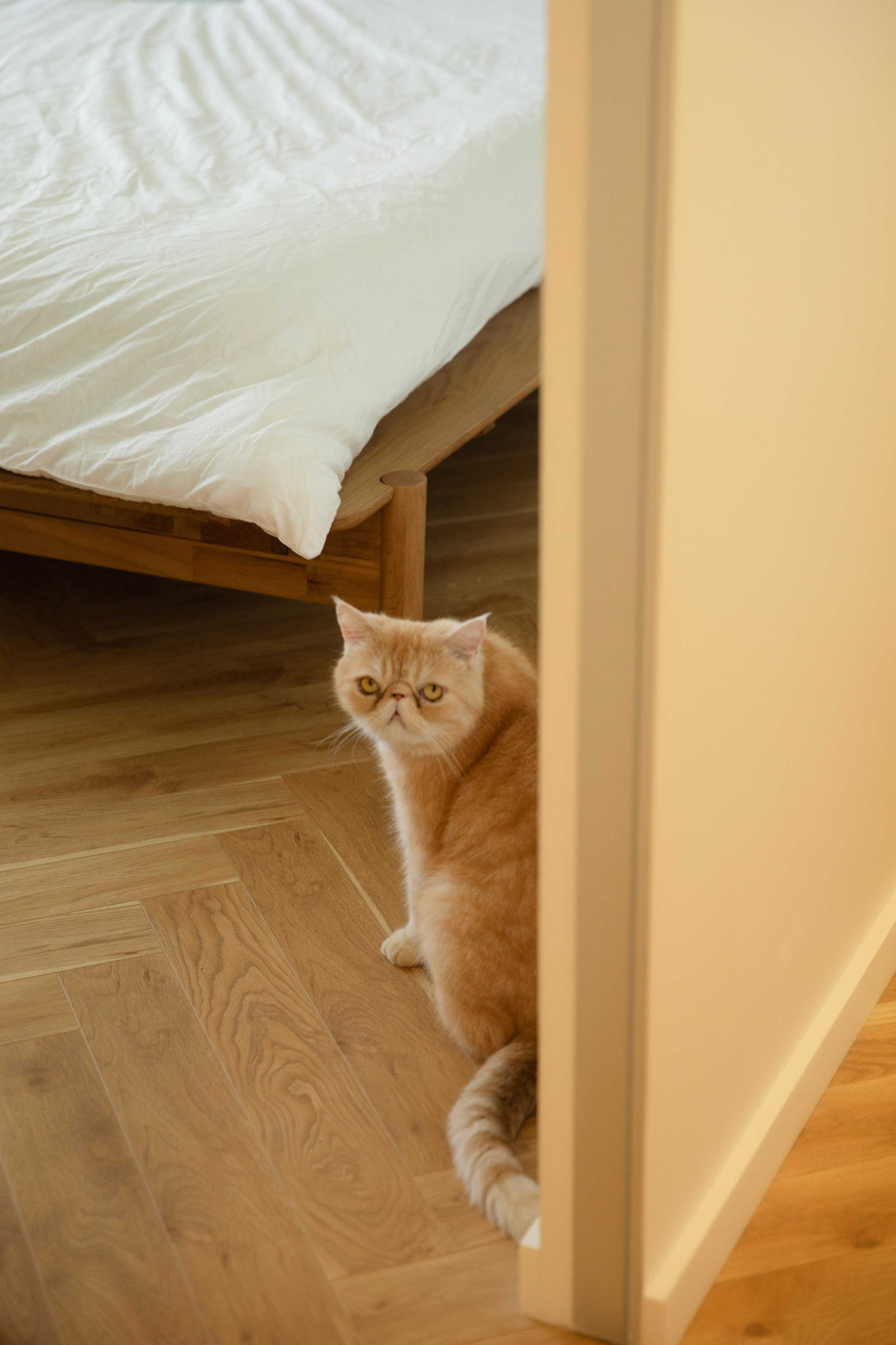 Домашняя съемка красивой семьи в солнечной квартире. Фотограф новорожденных, детский фотограф  Москва.Семейная съемка Москва. Семенова Анна