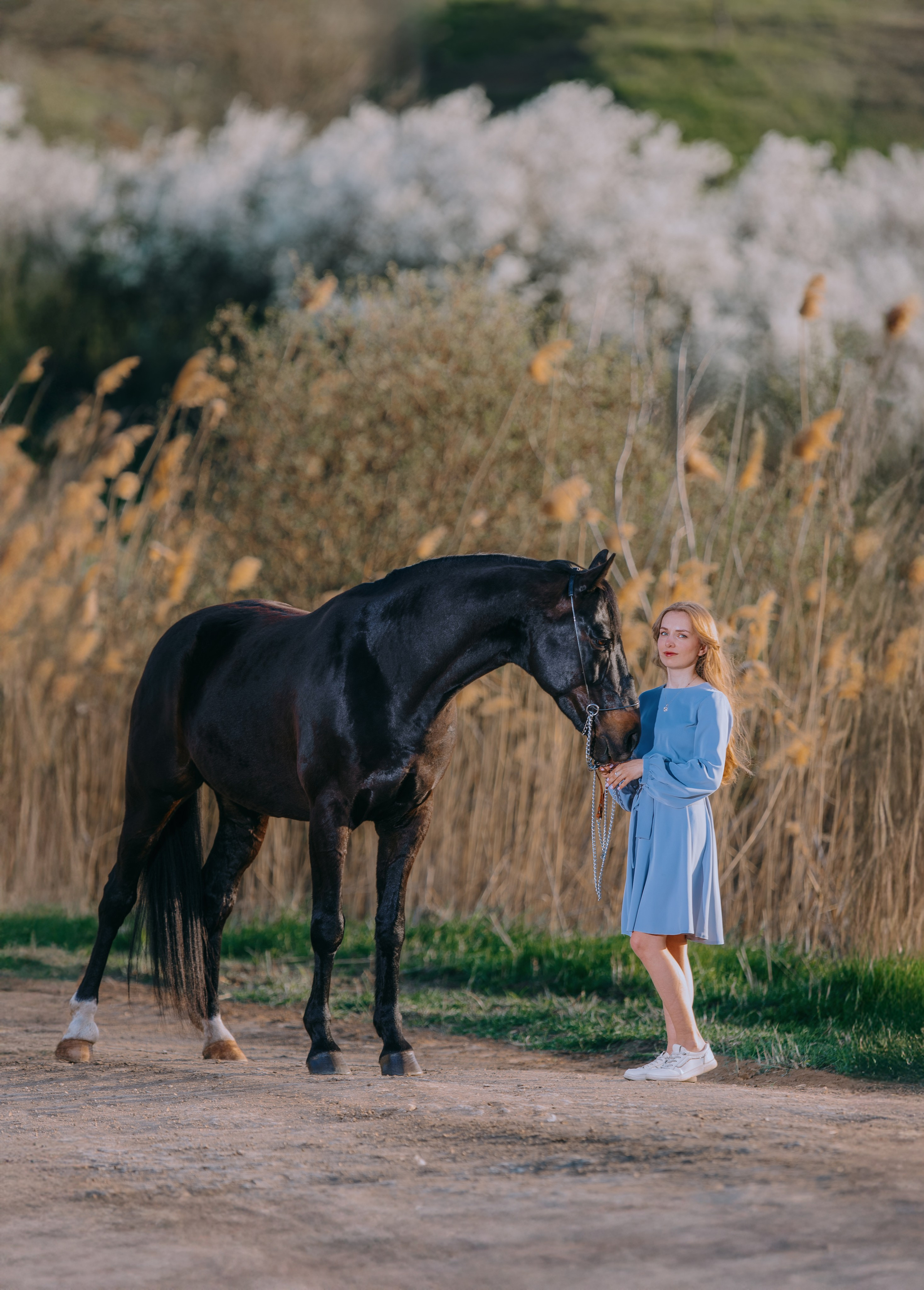 Вероника и Брэй. Фотограф-анималист Ксендзова Кристина