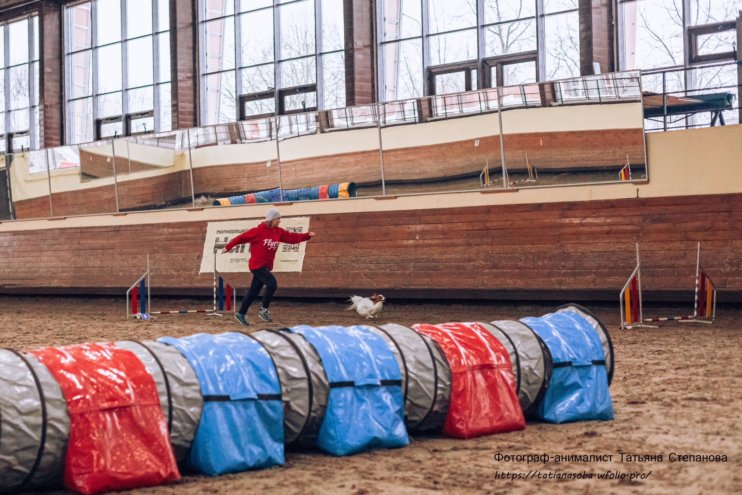 Соревнования по Аджилити 25.02.2024. Фотограф-анималист Татьяна Степанова
