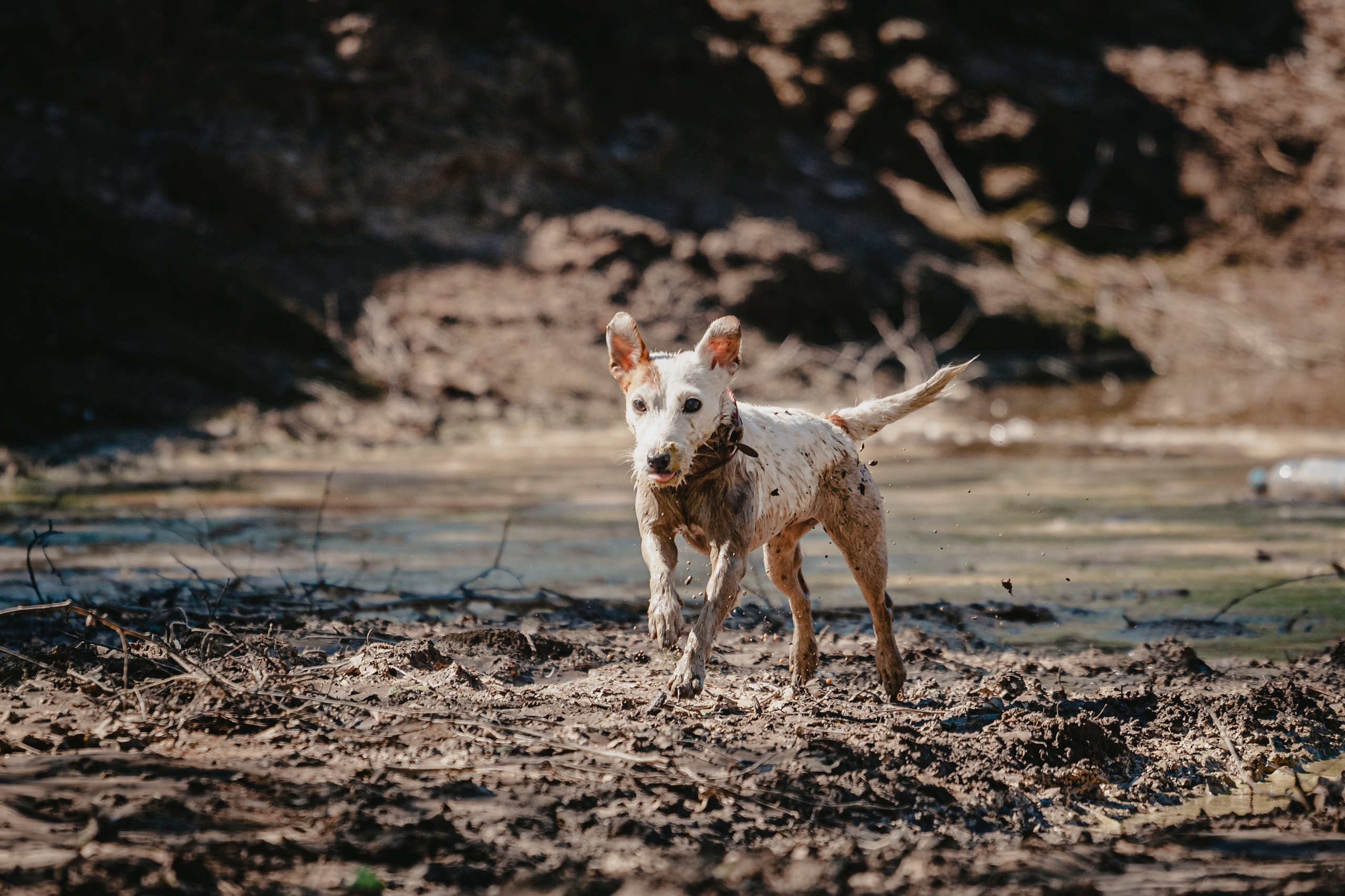 Кондуки. Фотограф-анималист Татьяна Степанова