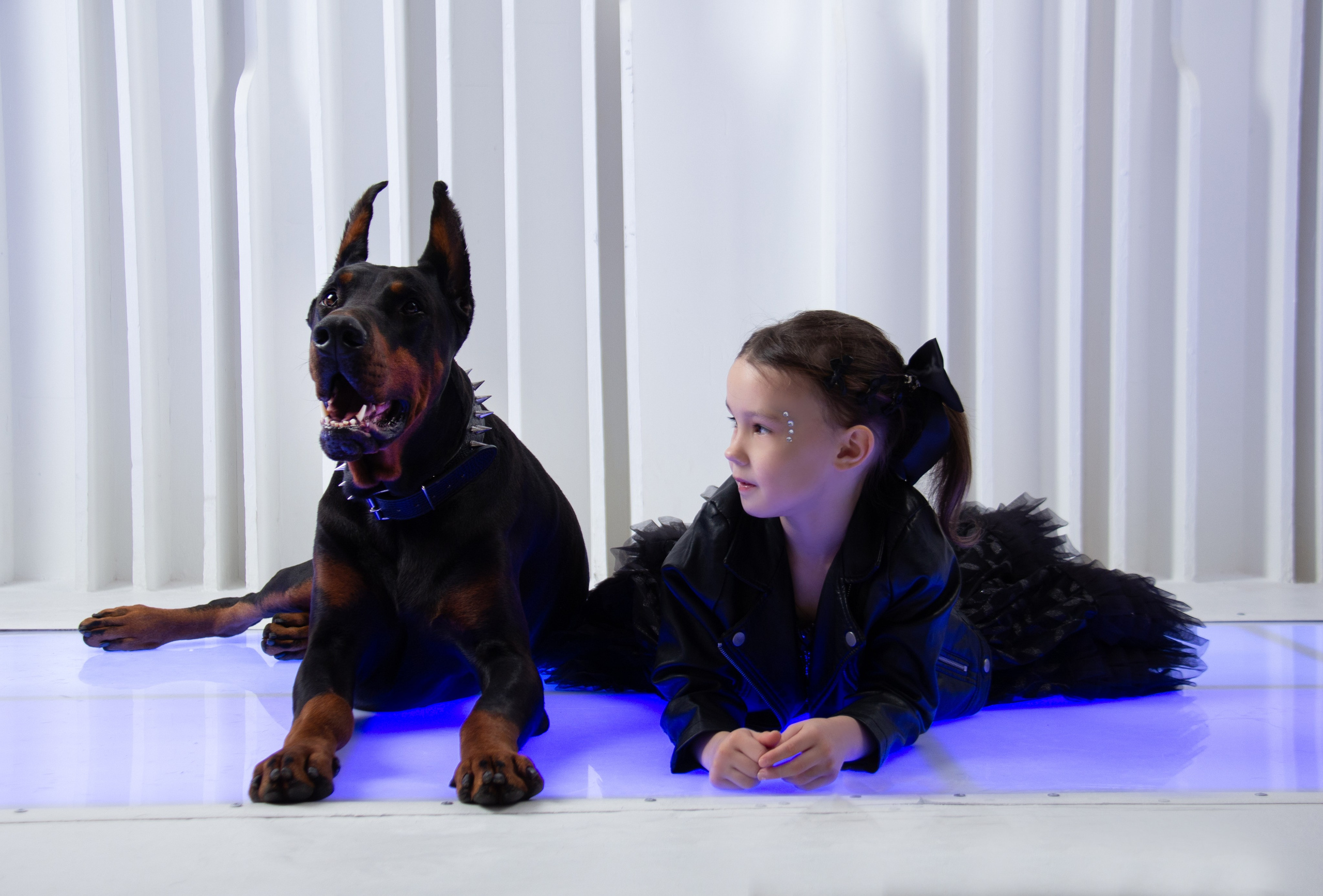 Фотопроект «Доберман»